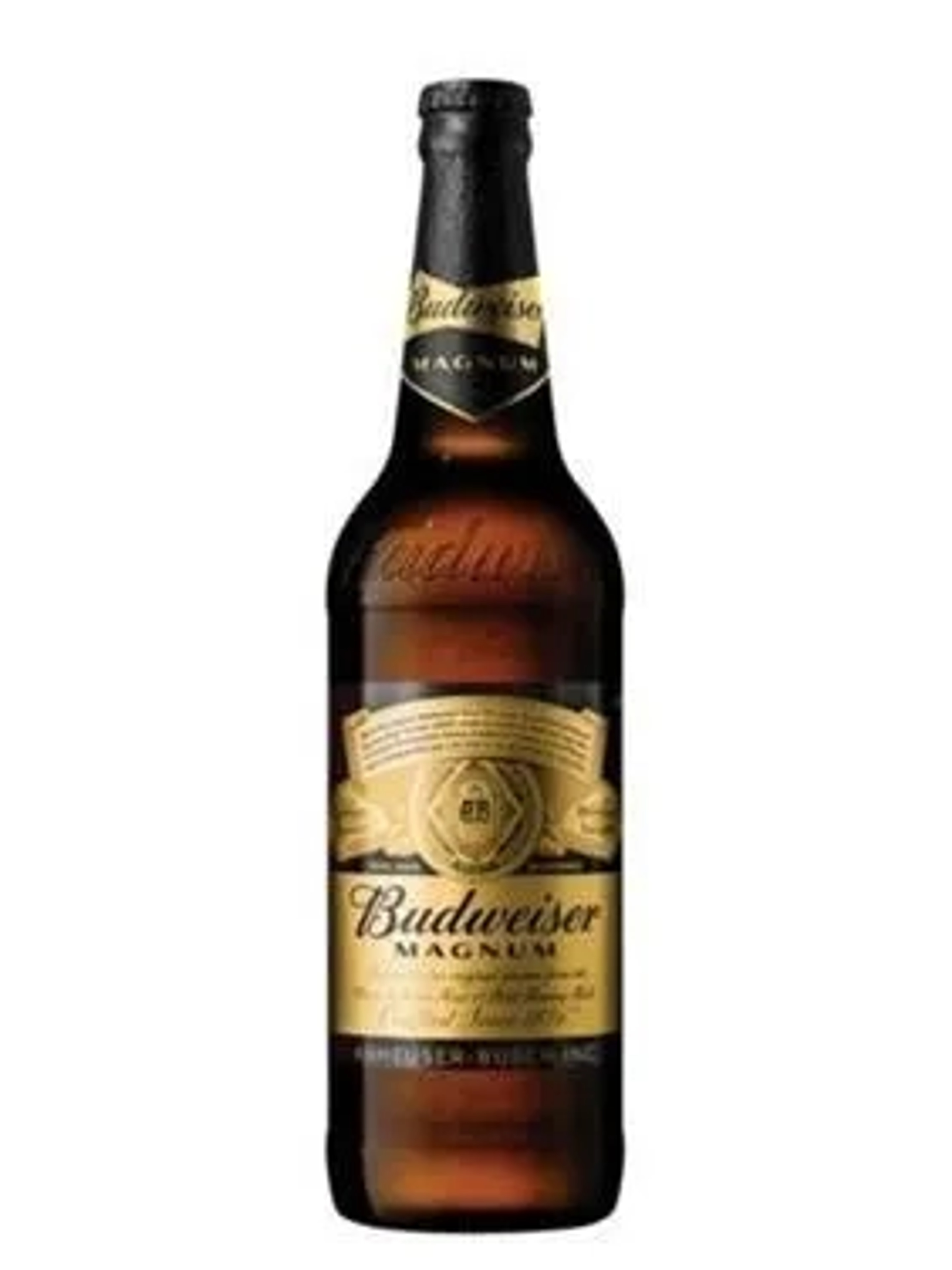 Budweiser Budweiser Magnum price in Ghaziabad