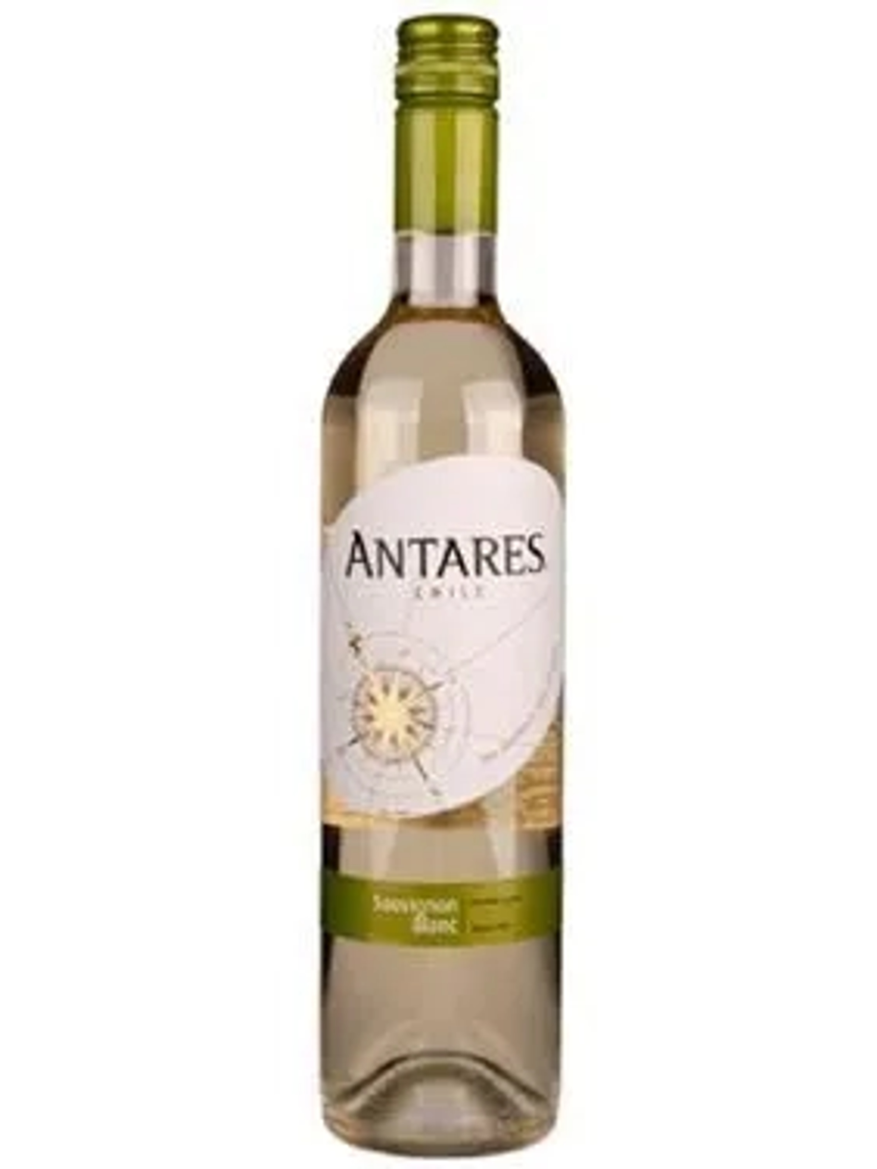 Antares Sauvignon Blanc price in Agra