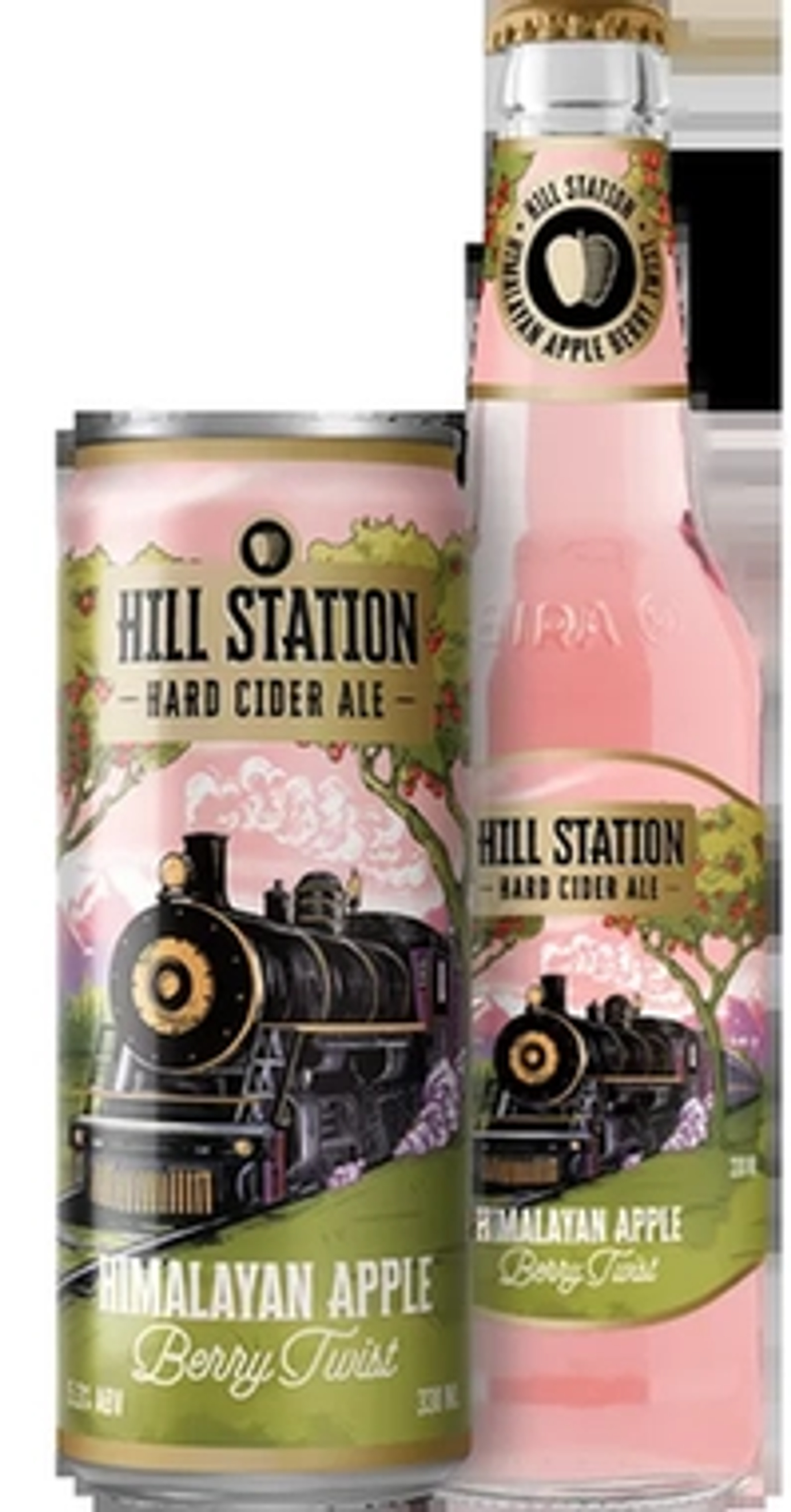 Hill Station Himalayan Apple Berry Twist price in Goa