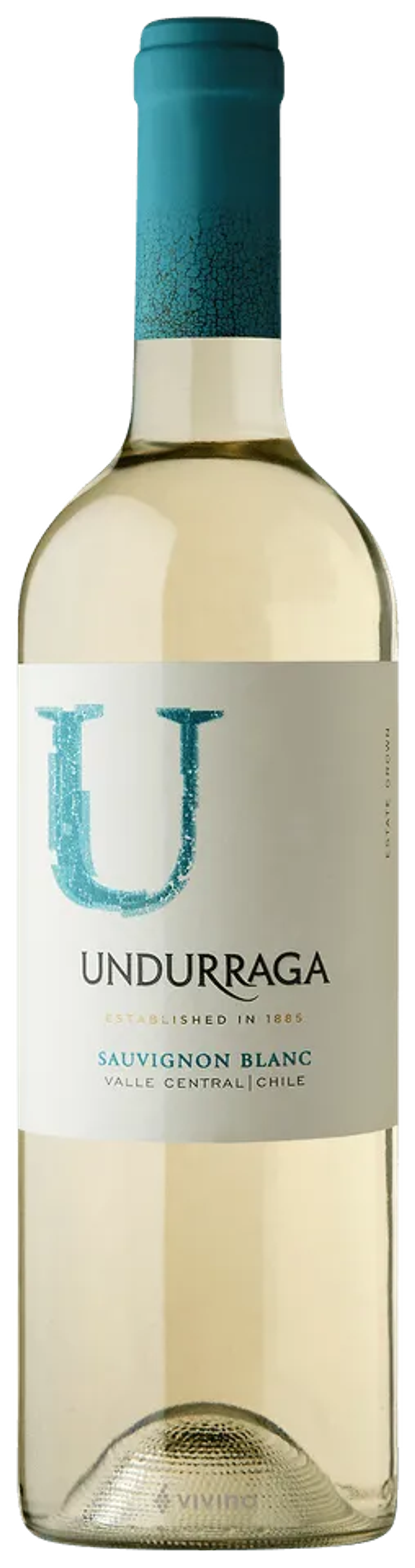 Undurrag U Sauvignon Blanc W/Wine 750ml price in Indore