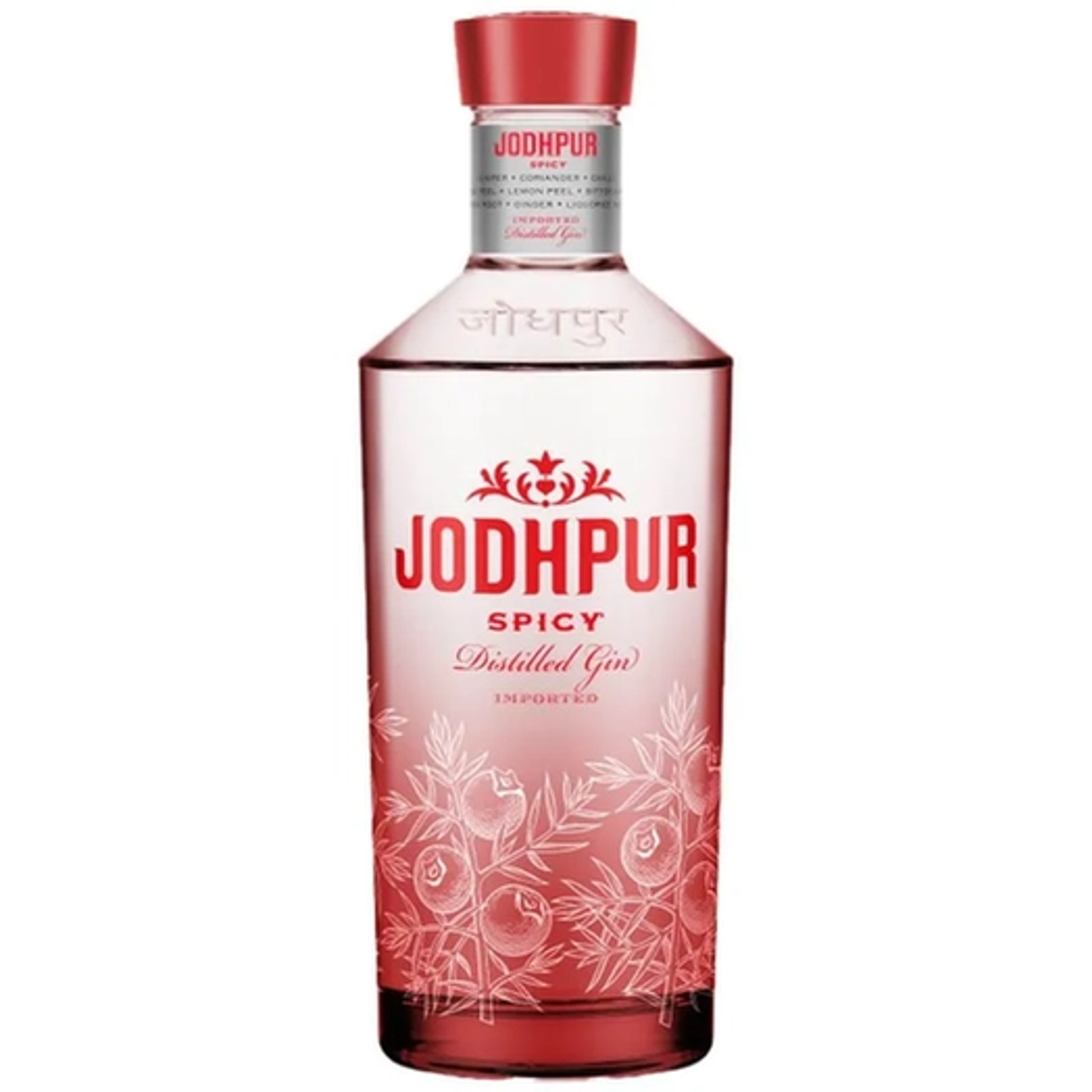 Jodhpur Spicy 700ml price in Noida