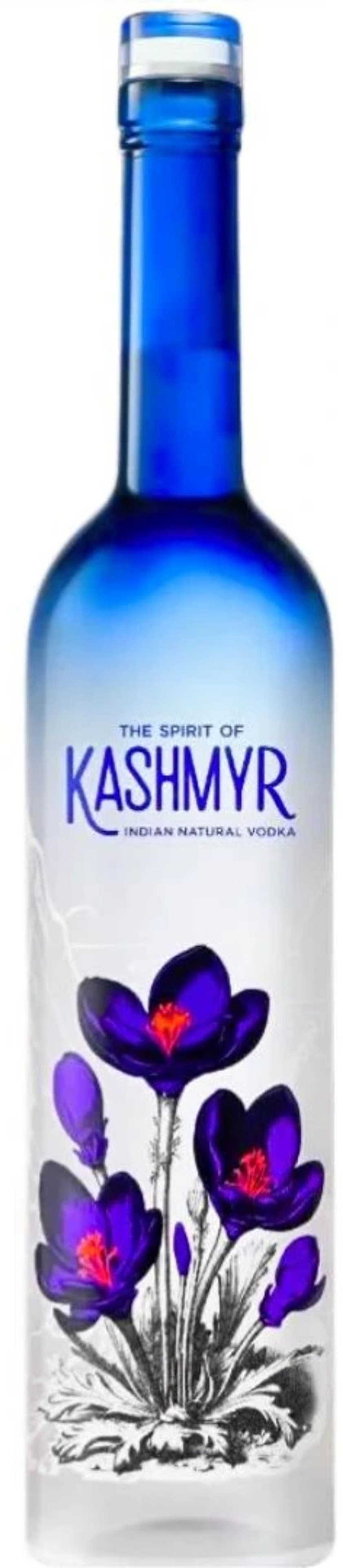 Kashmyr Kashmyr Natural Vodka price in Jodhpur