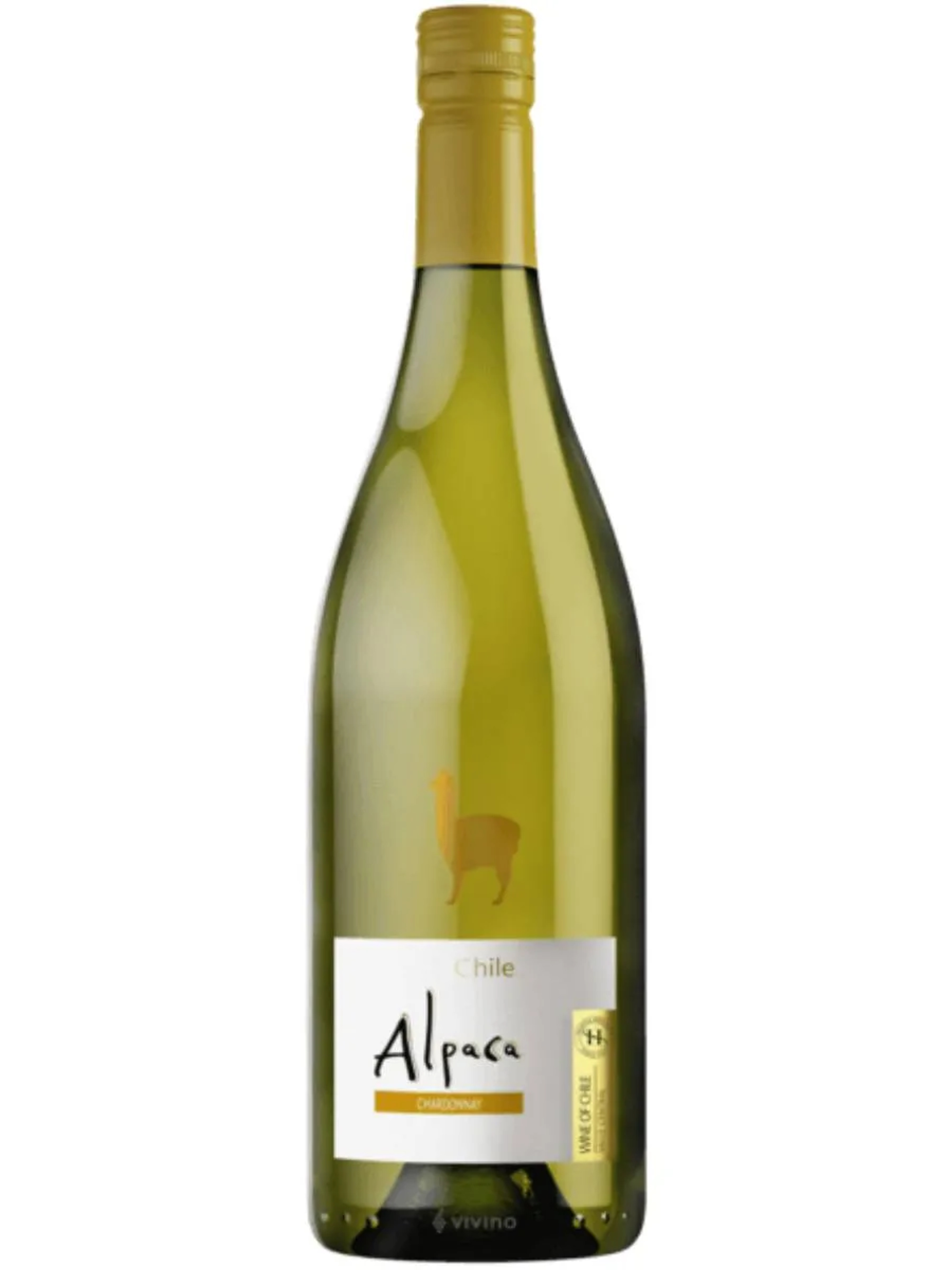 Alpaca Chardonny Wine price in Gwalior