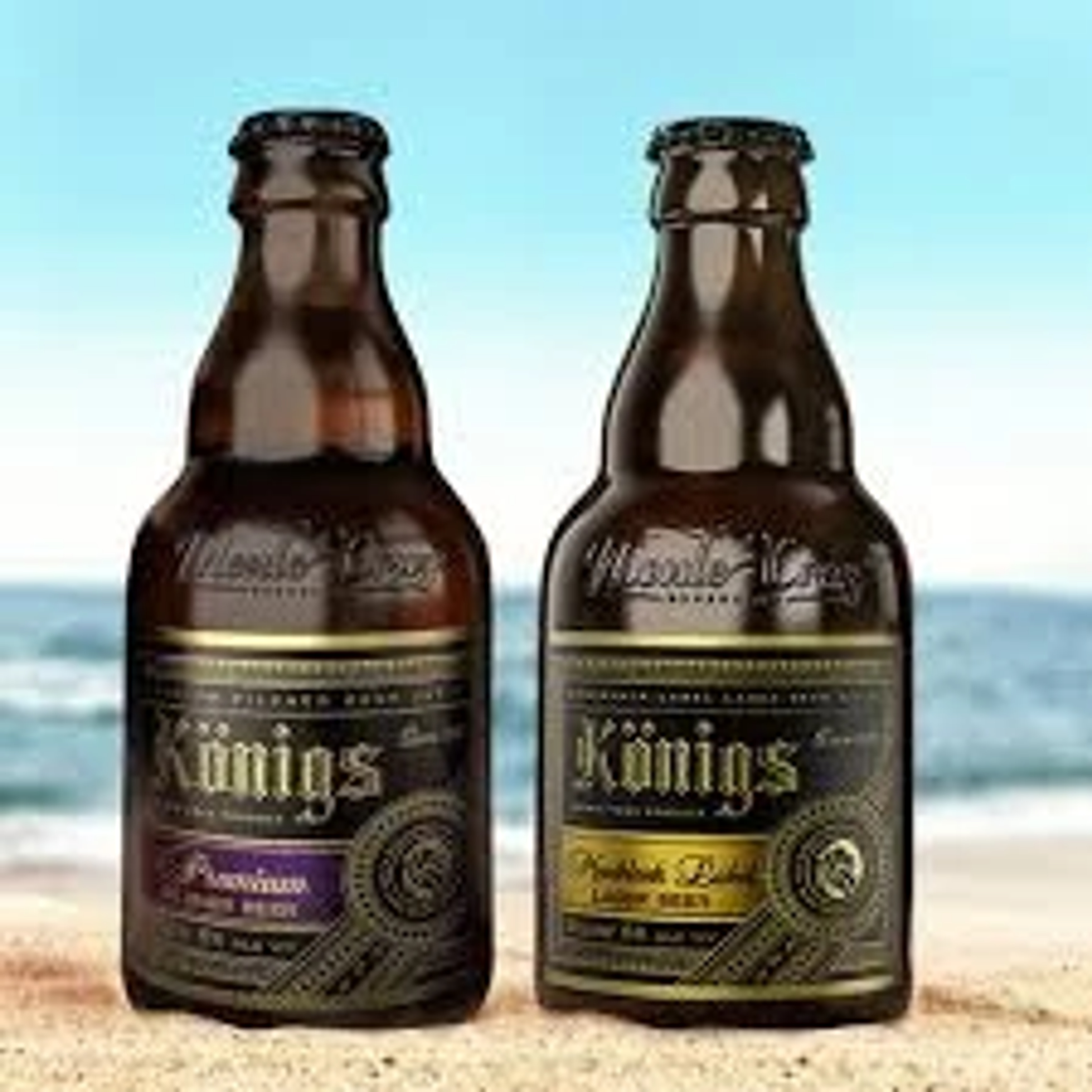 Konigs Premium Pilsner Beer price in Udaipur