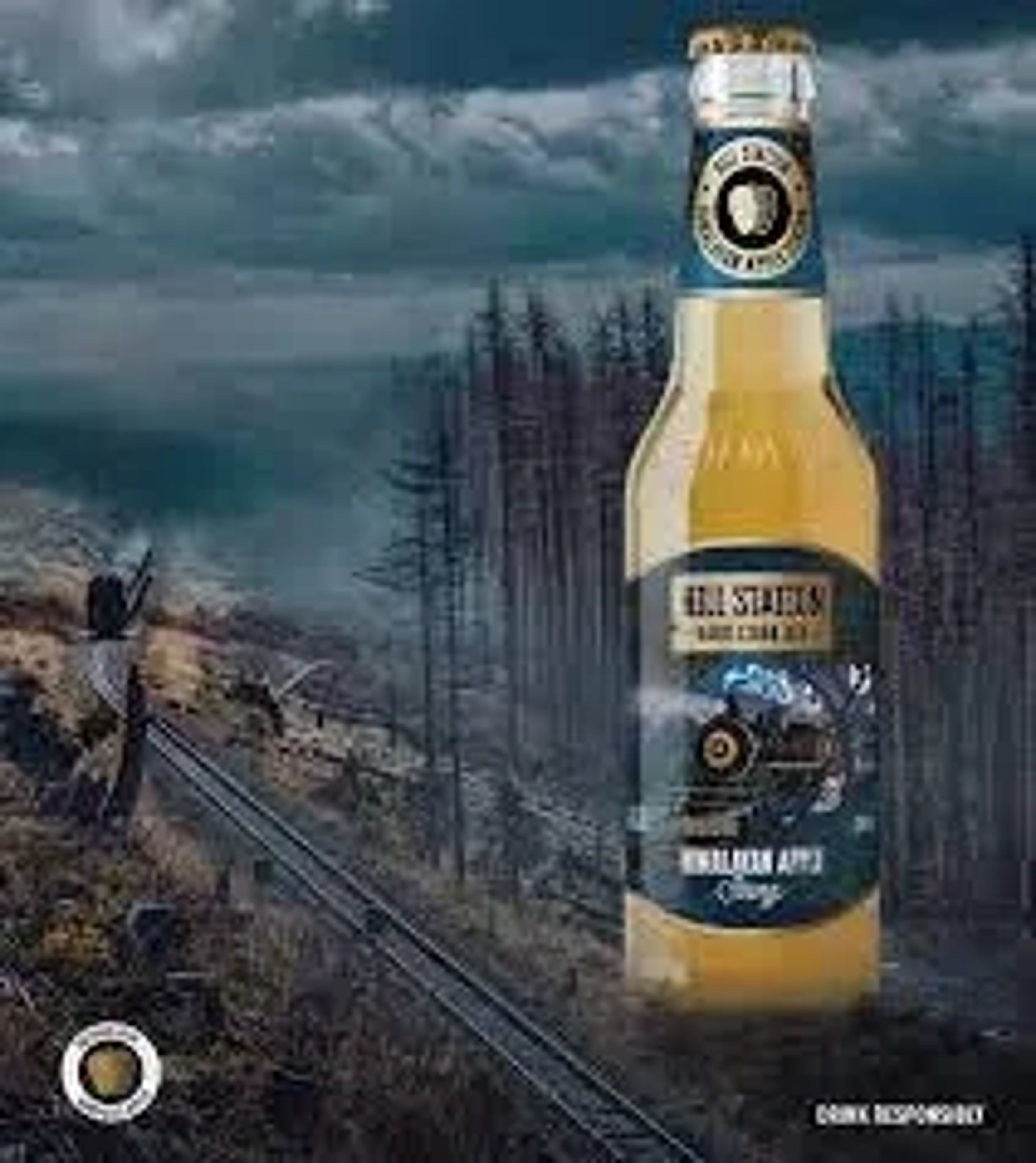 Hill Station Himalayan Apple Strong price in Hyderabad