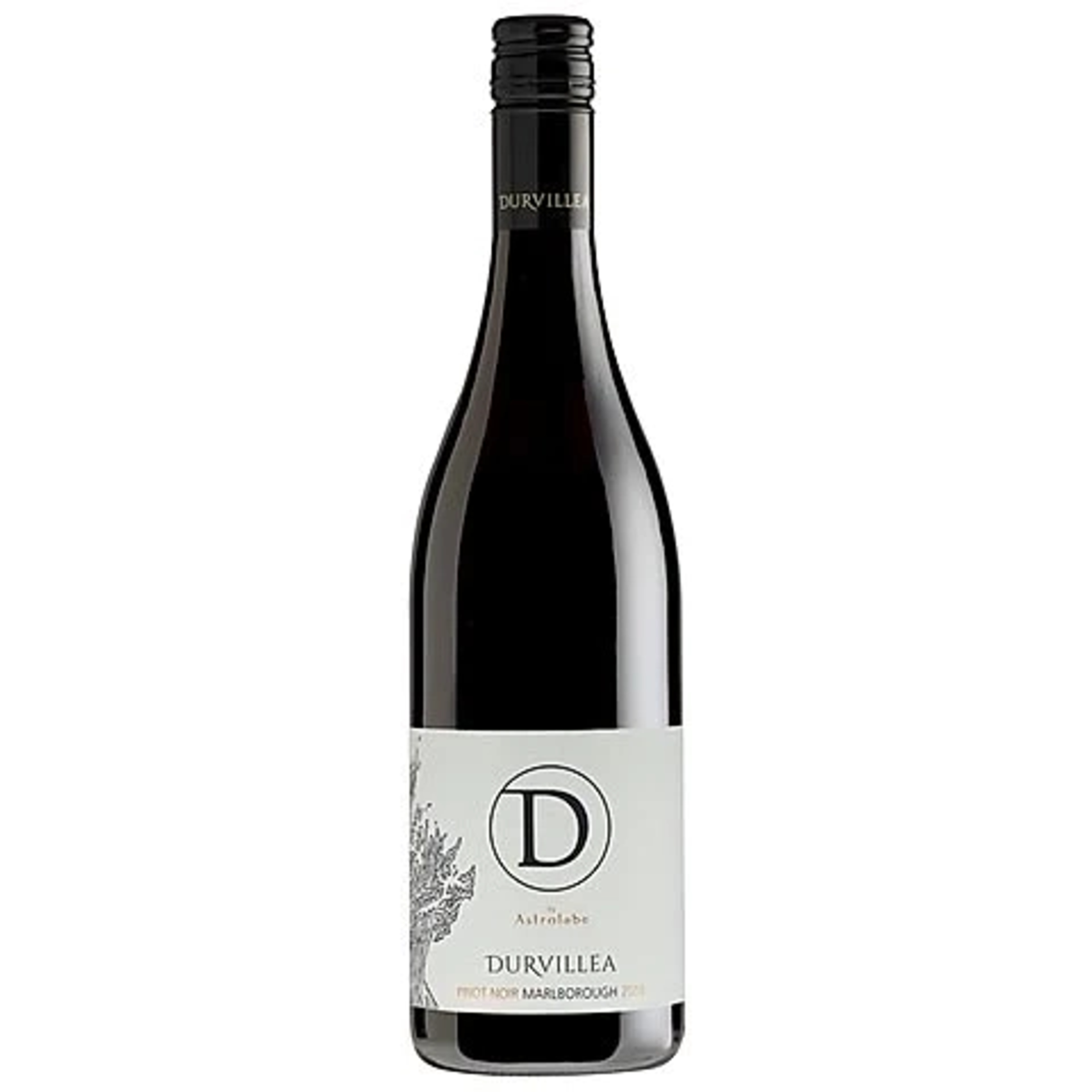 Durvillea Durvillea Pinot Red price in Mysore