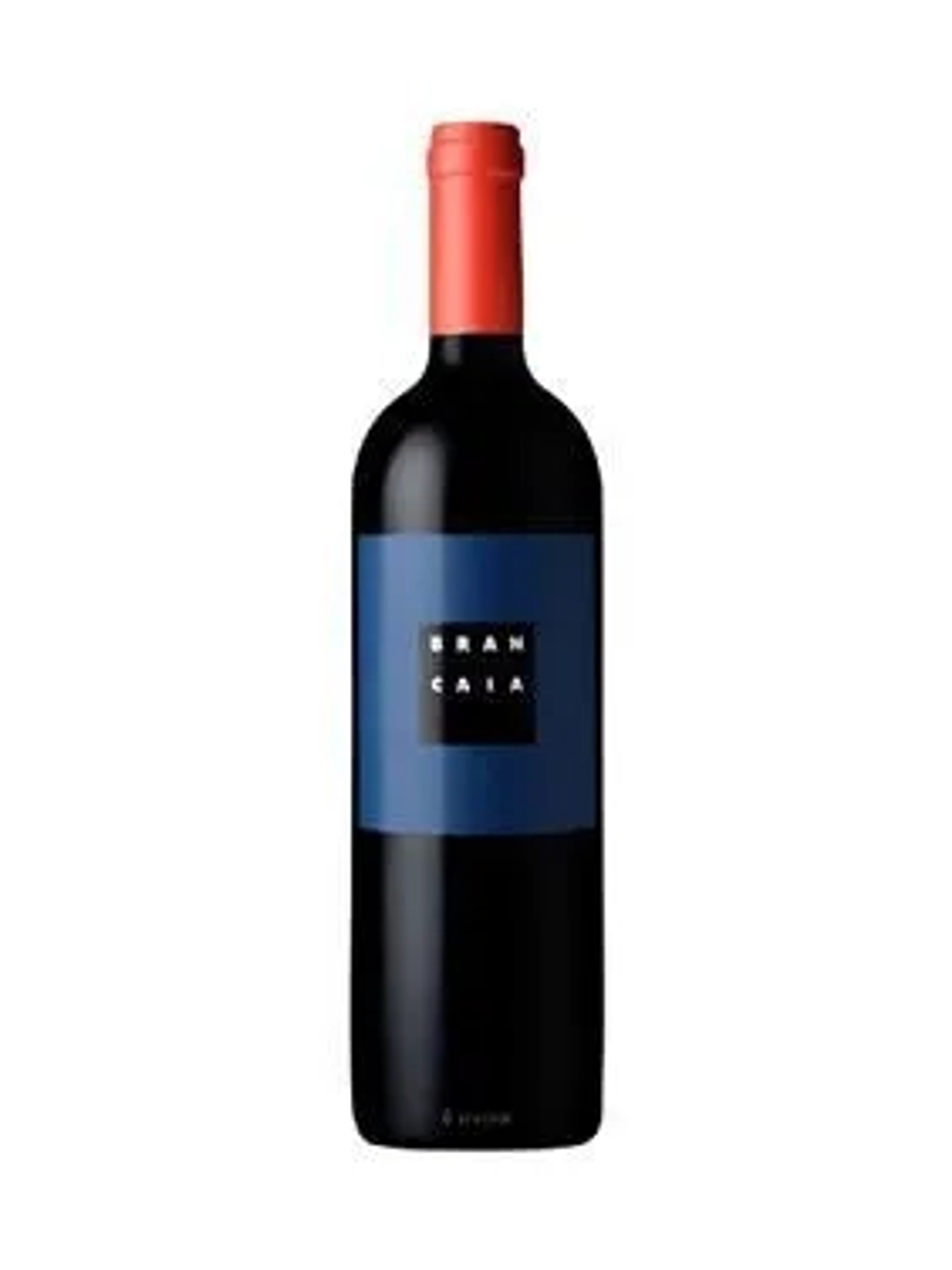 La Brancaia Ll Blu price in Mysore