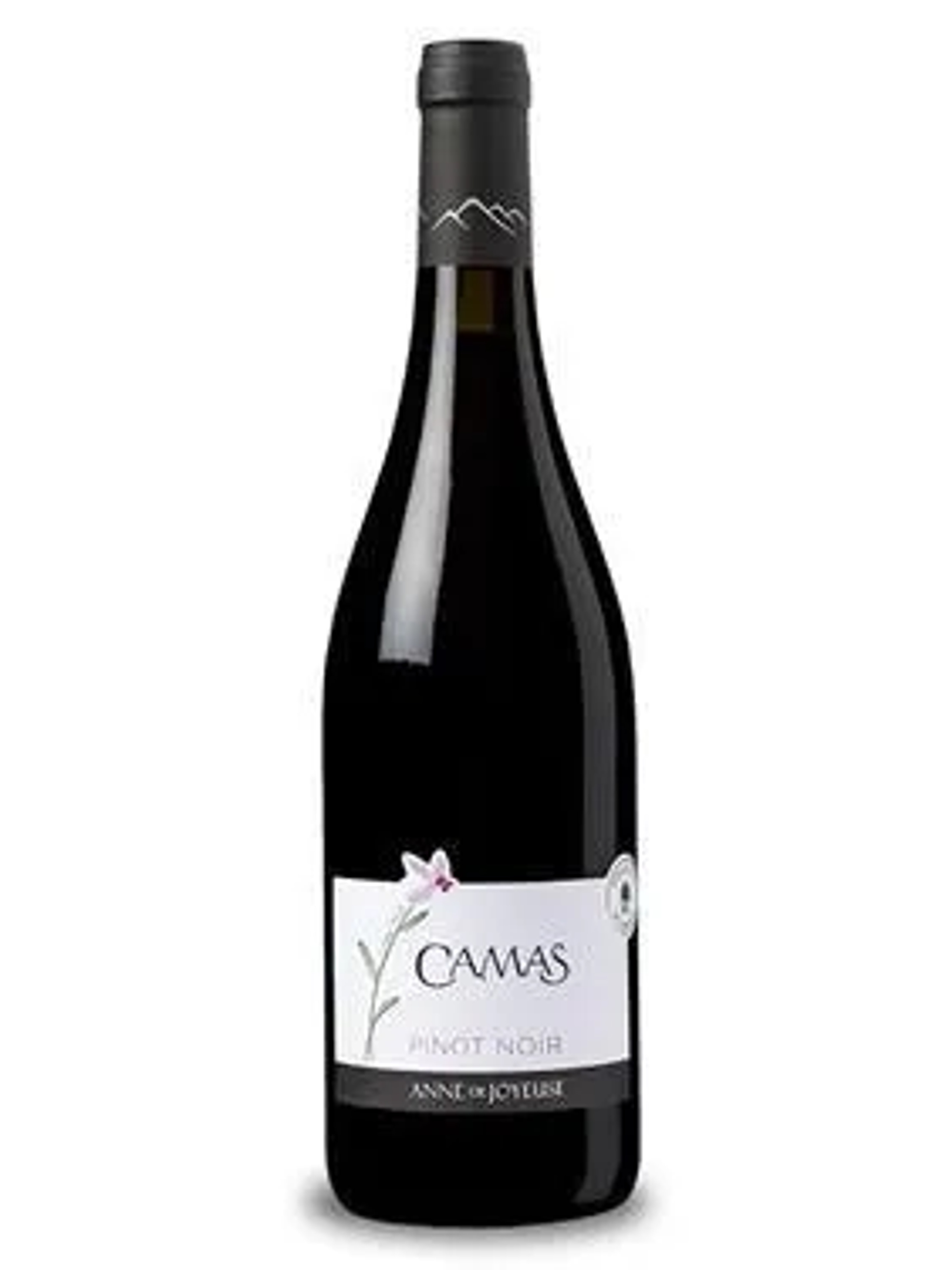 Camas Pinot Noir price in Mangalore