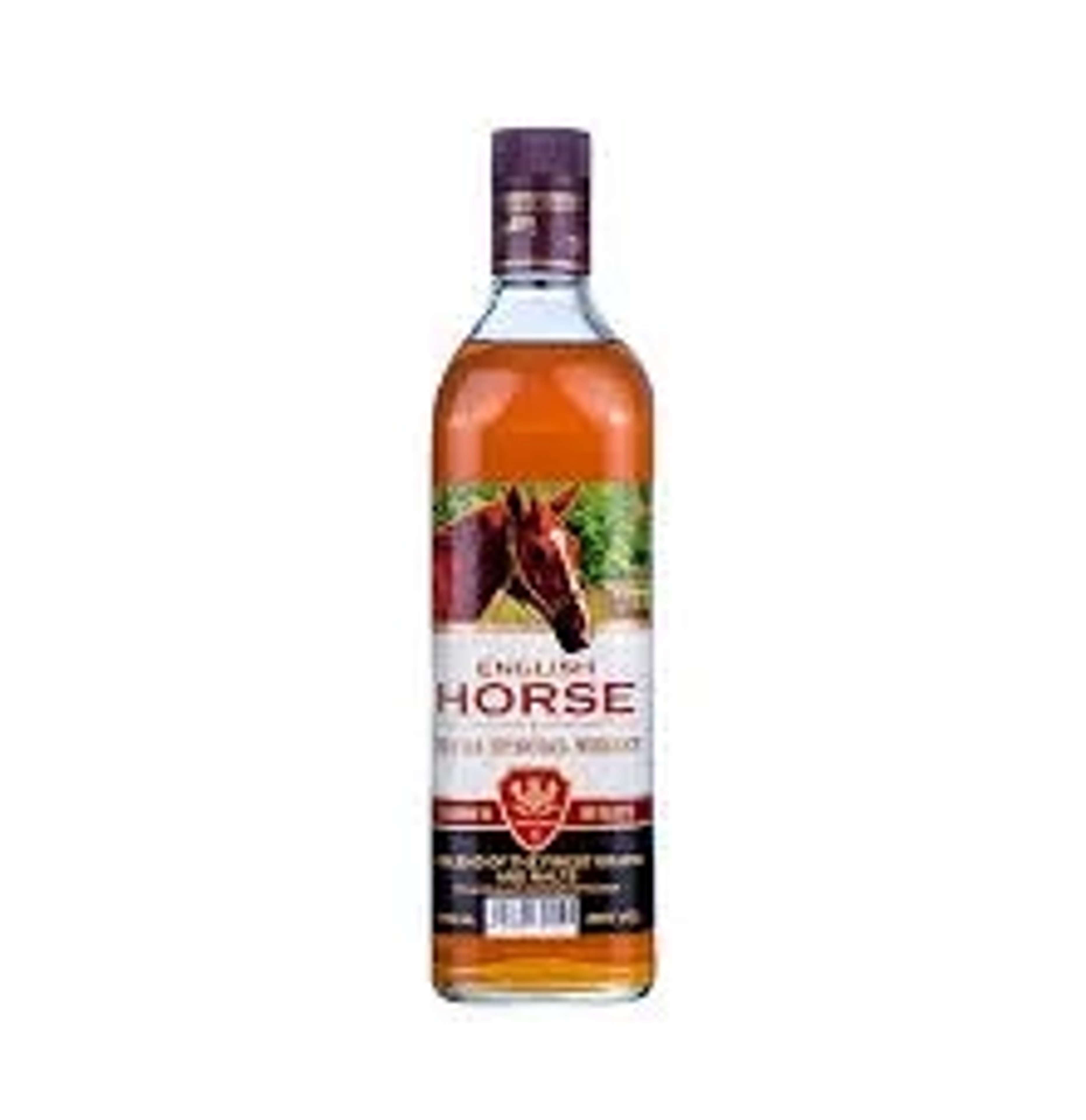 English Horse prices in Hyderabad