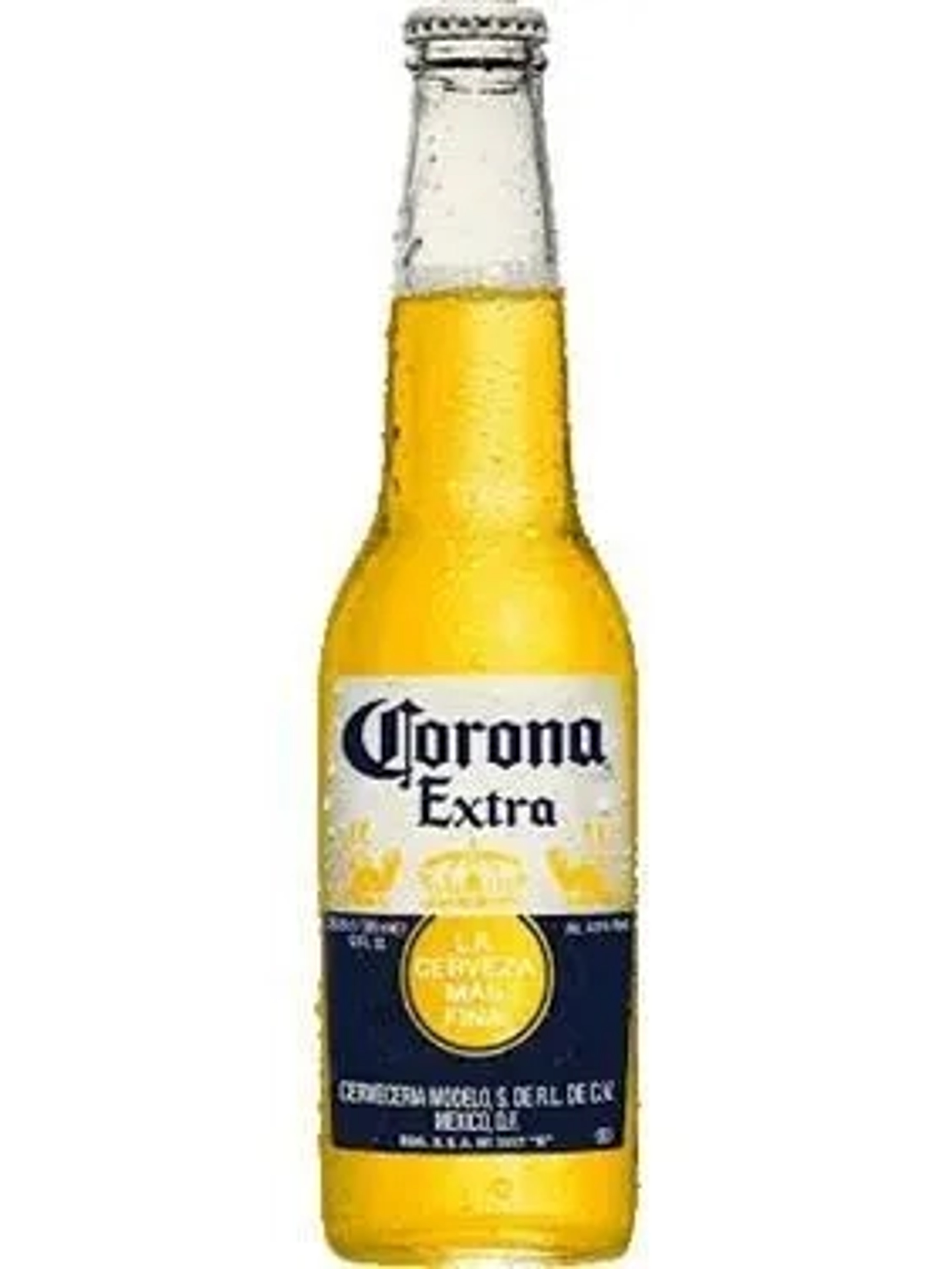 Corona Extra price in Udaipur