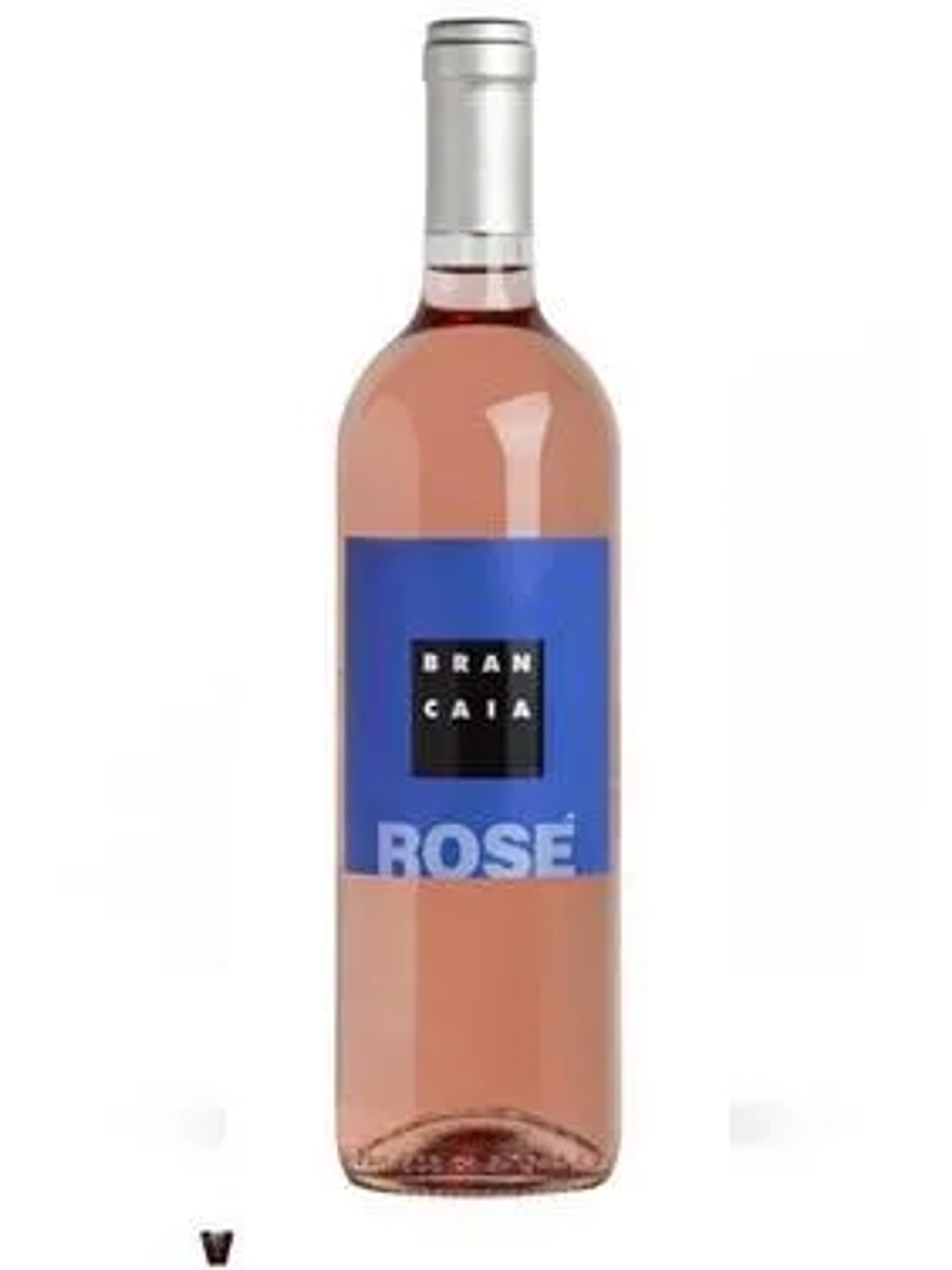 La Brancaia Rose price in Udaipur