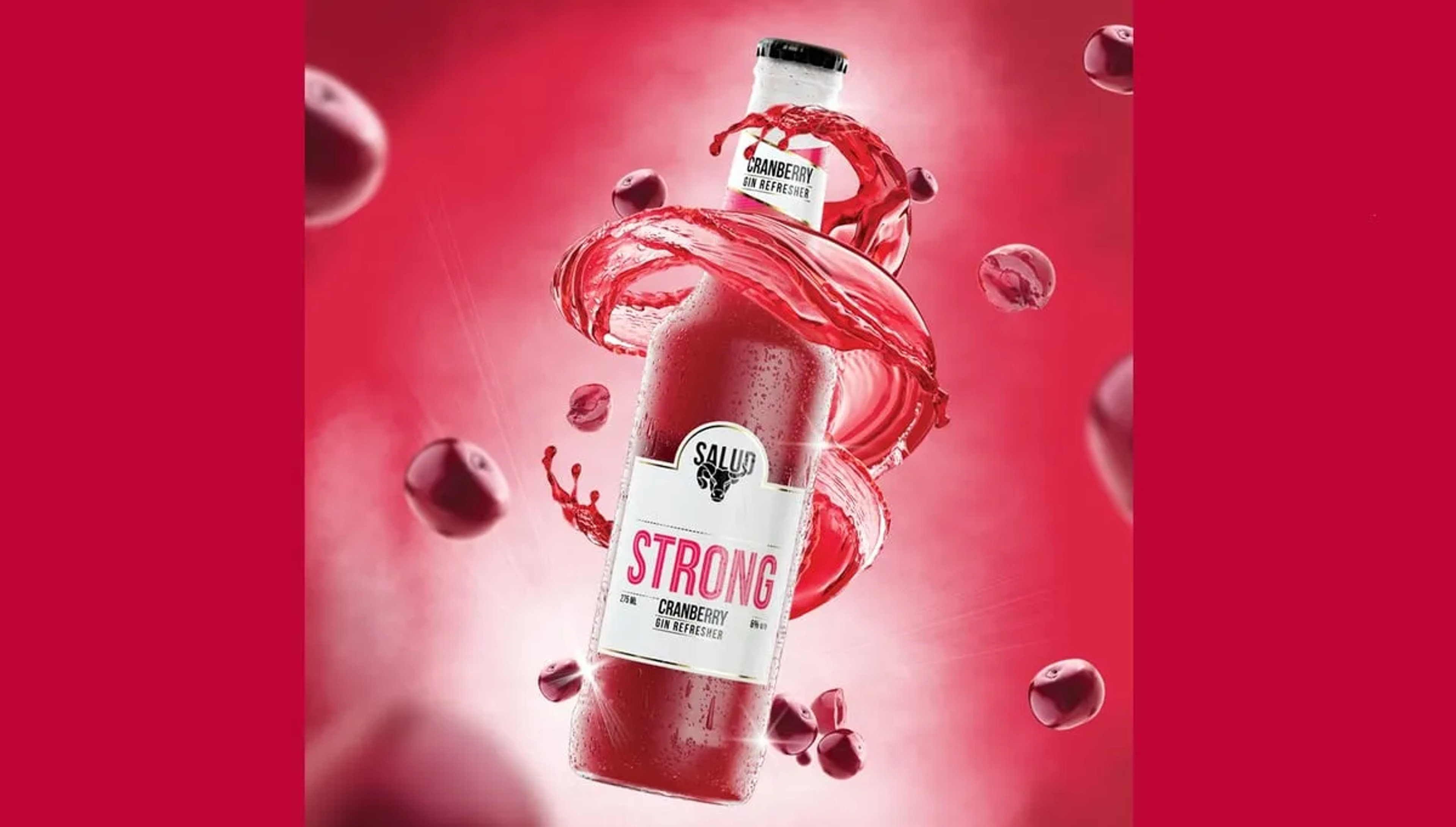 Salud Salud Strong Cranberry Wine price in Mysore