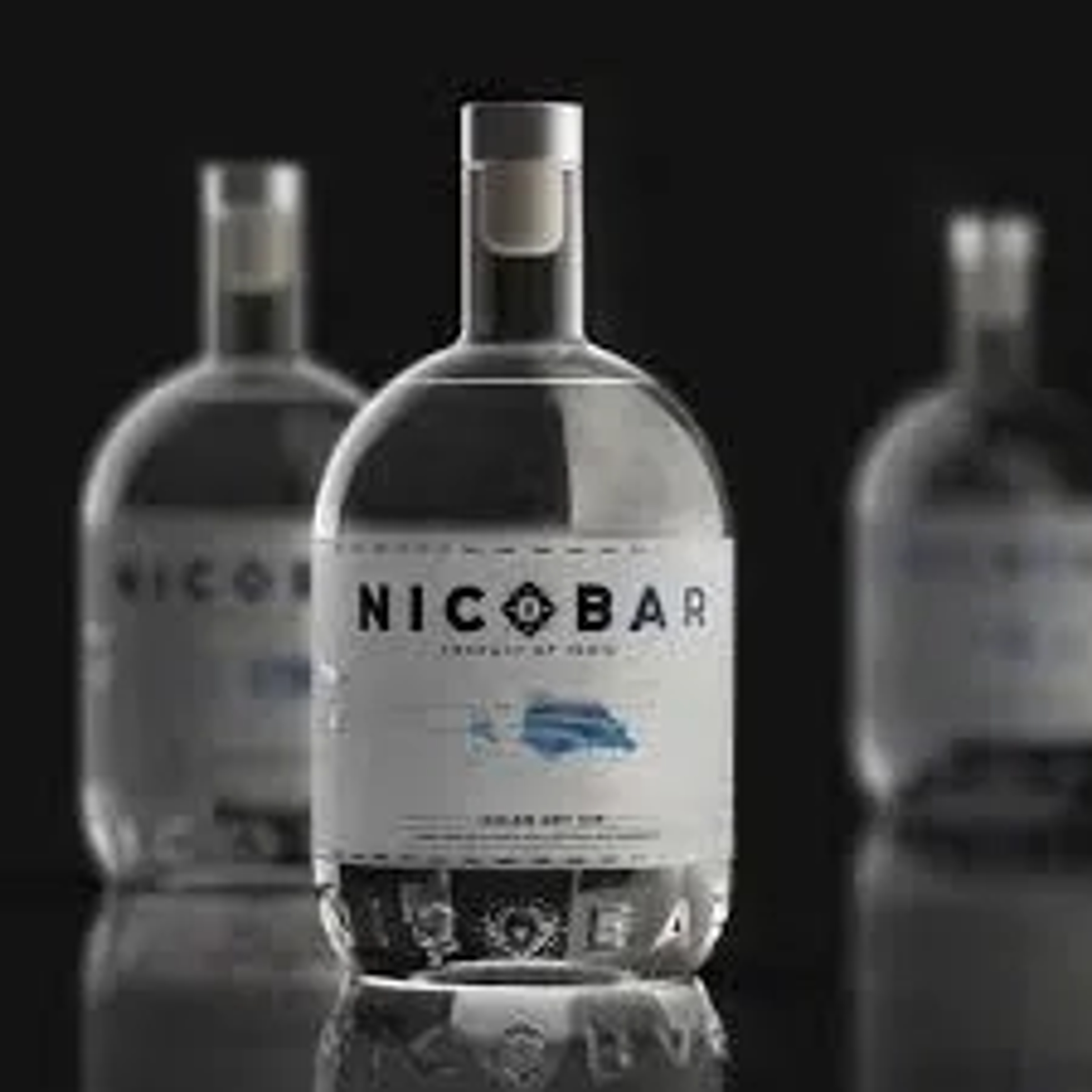 Nicobar Nicobar Indian Dry Gin 750ml price in Gwalior