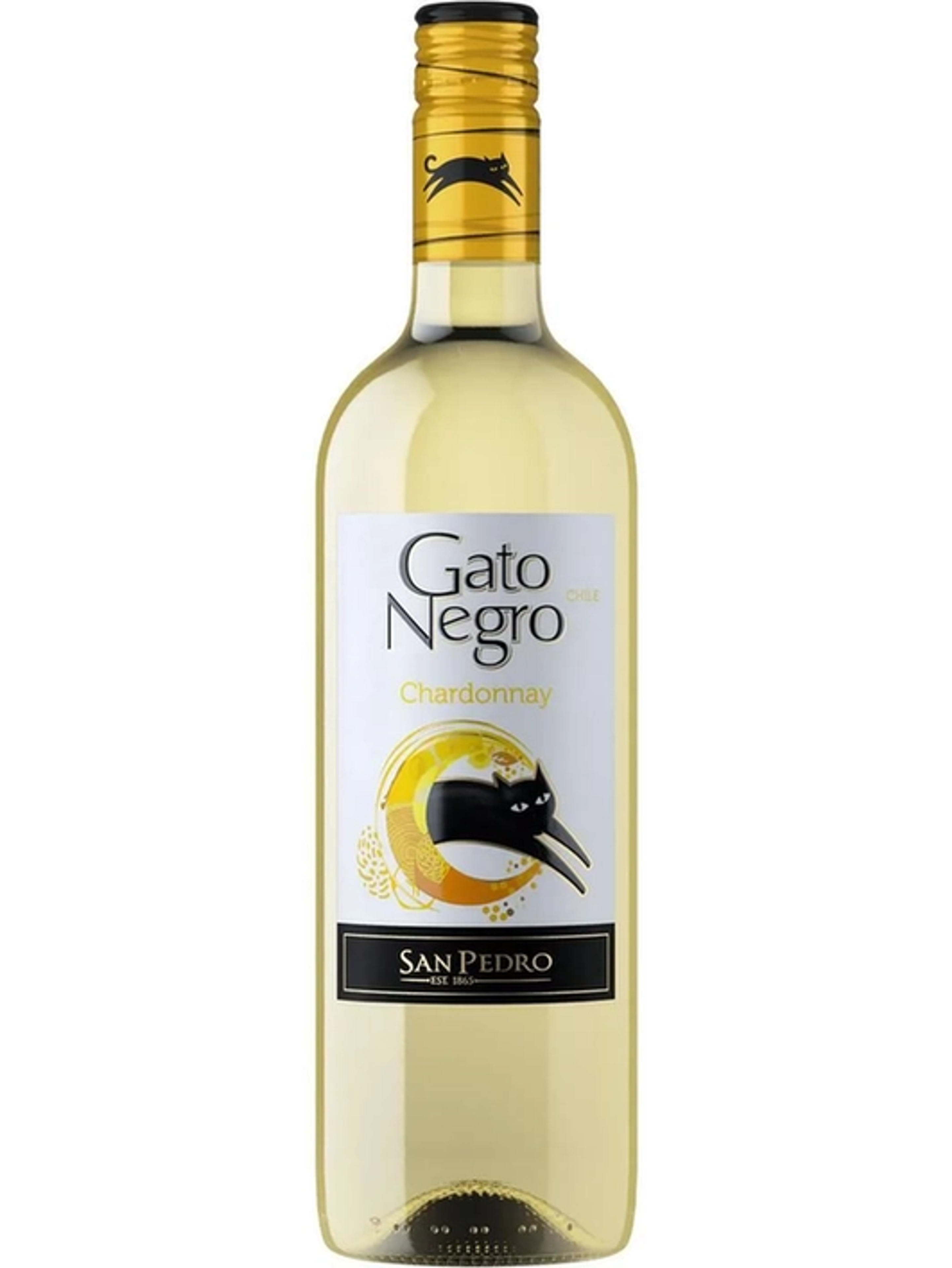 Gato Negro Chardonnay price in Jaipur