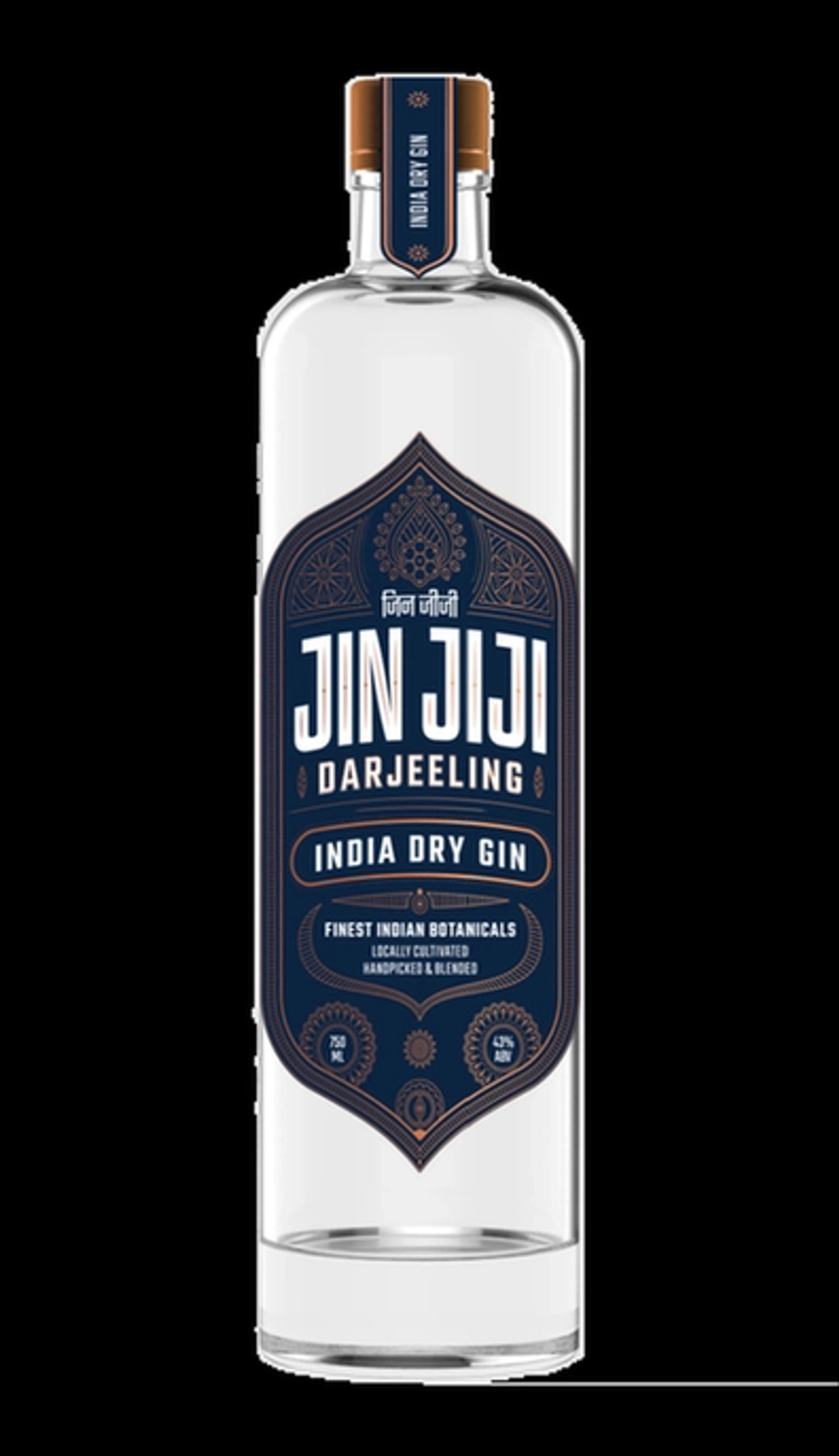 Jin Jiji prices in Jaipur