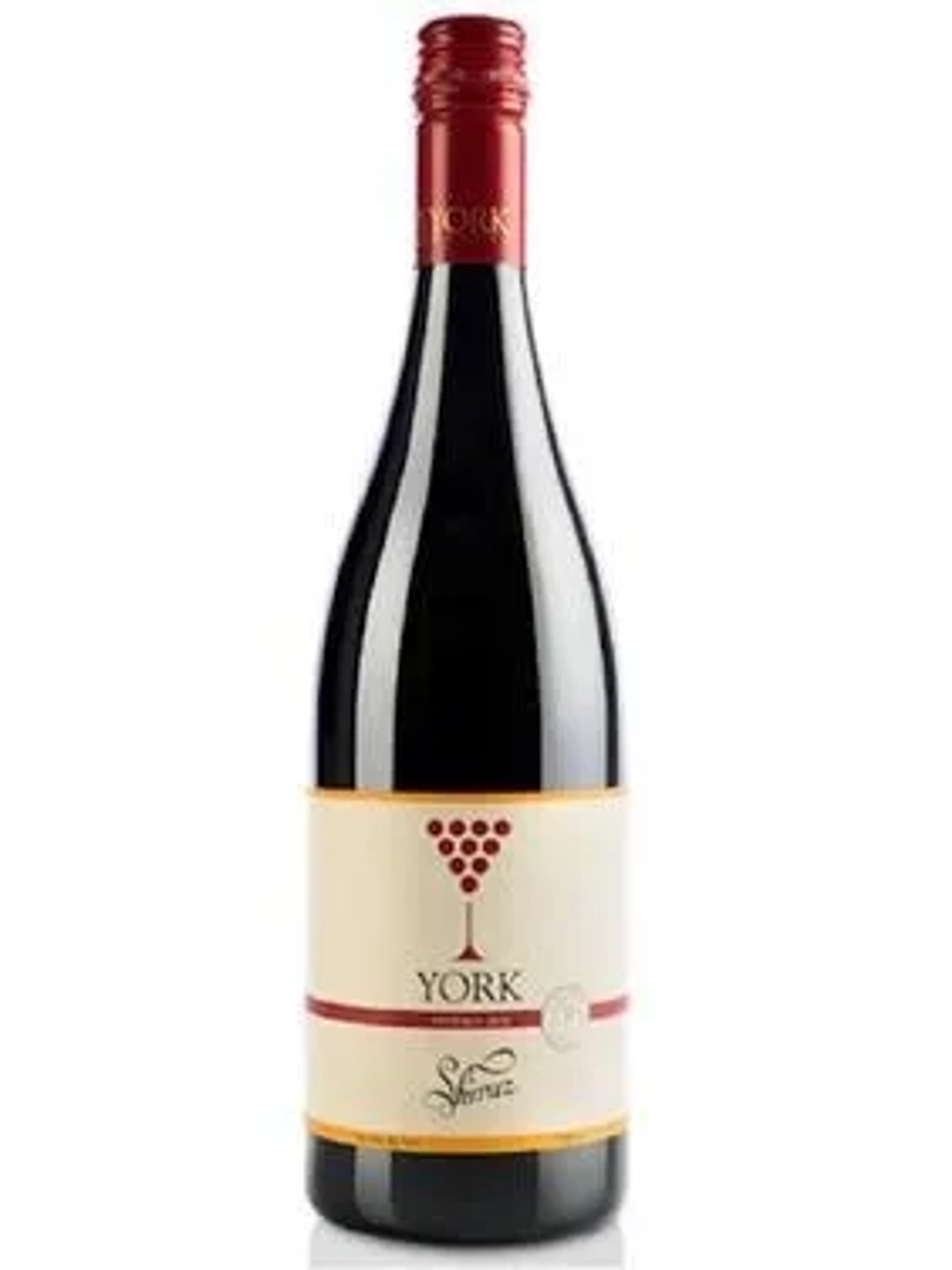York York Shiraz price in Faridabad
