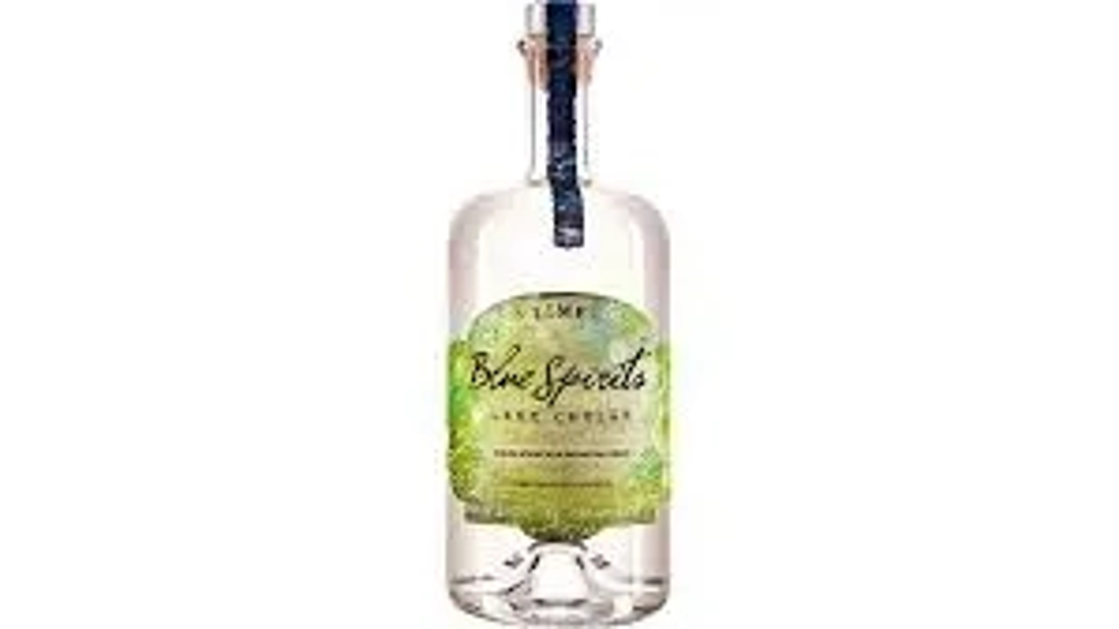 Blue Spirits Lime Tequila price in Noida
