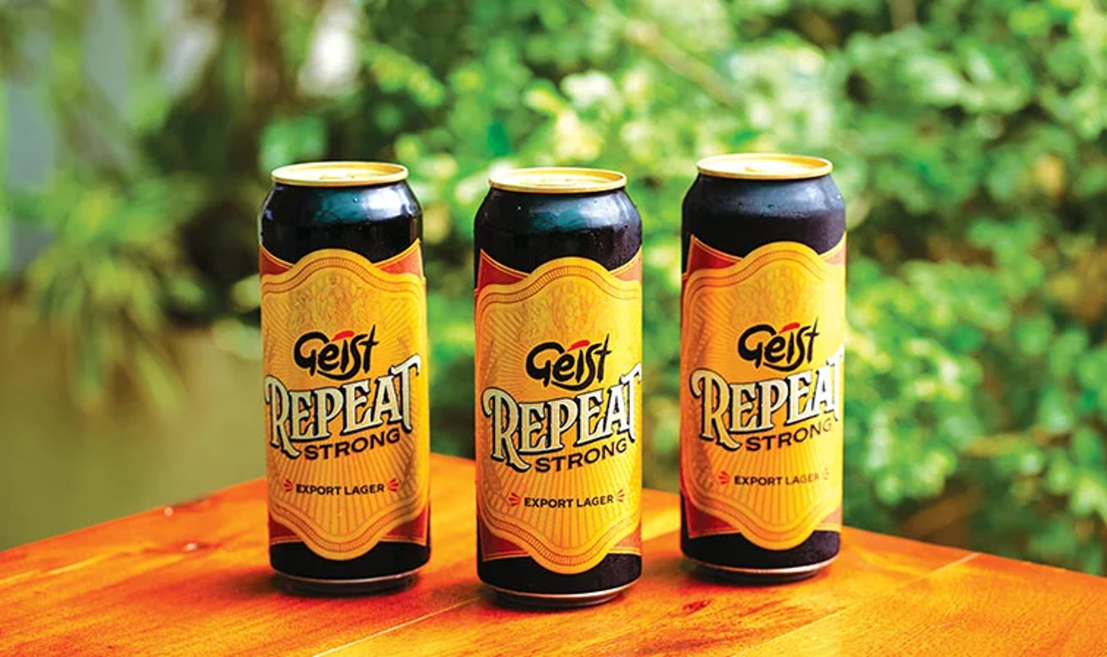 Geist Repeat Strong price in Warangal