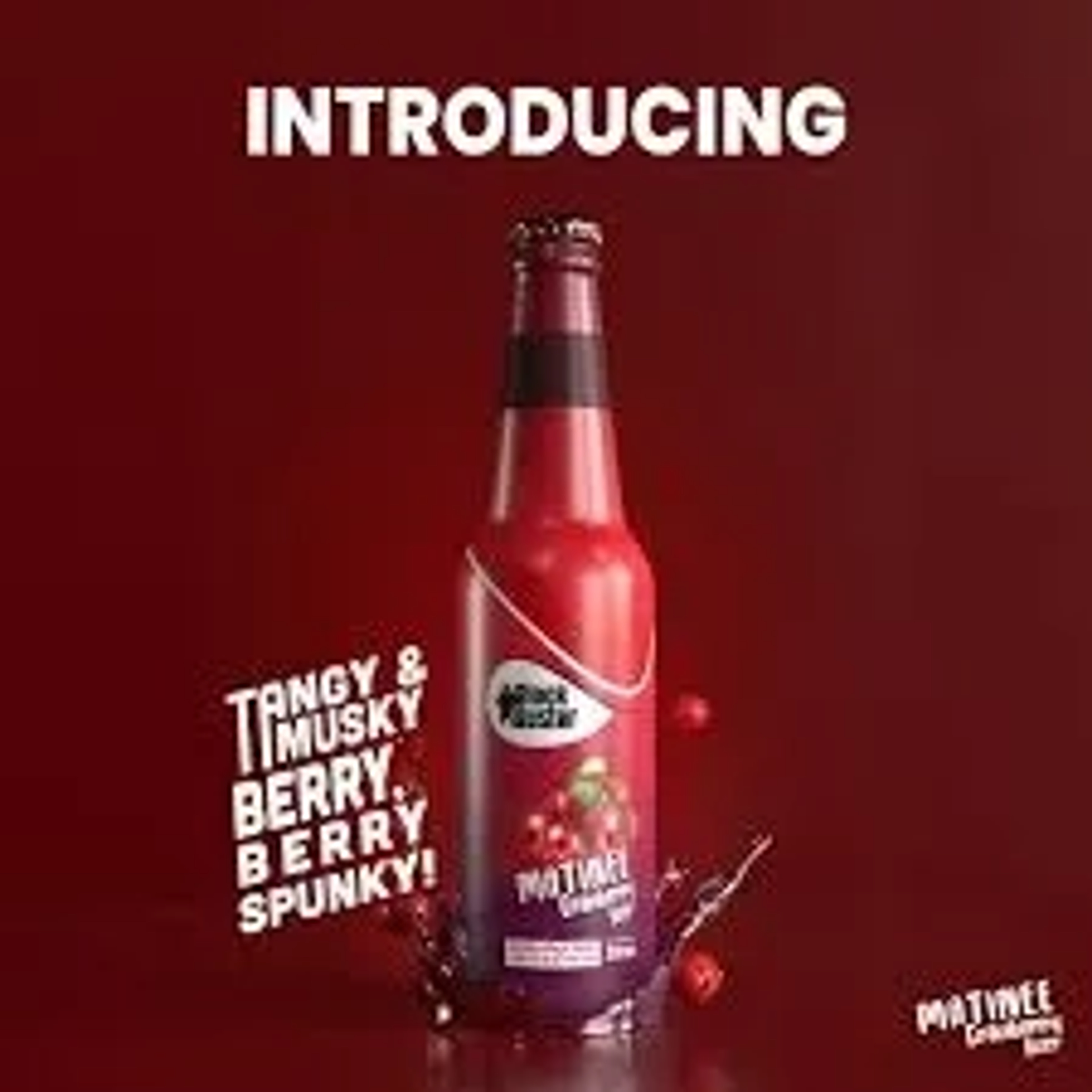 Blockbuster Blockbuster Matinee Cranberry Beer price in Kanpur