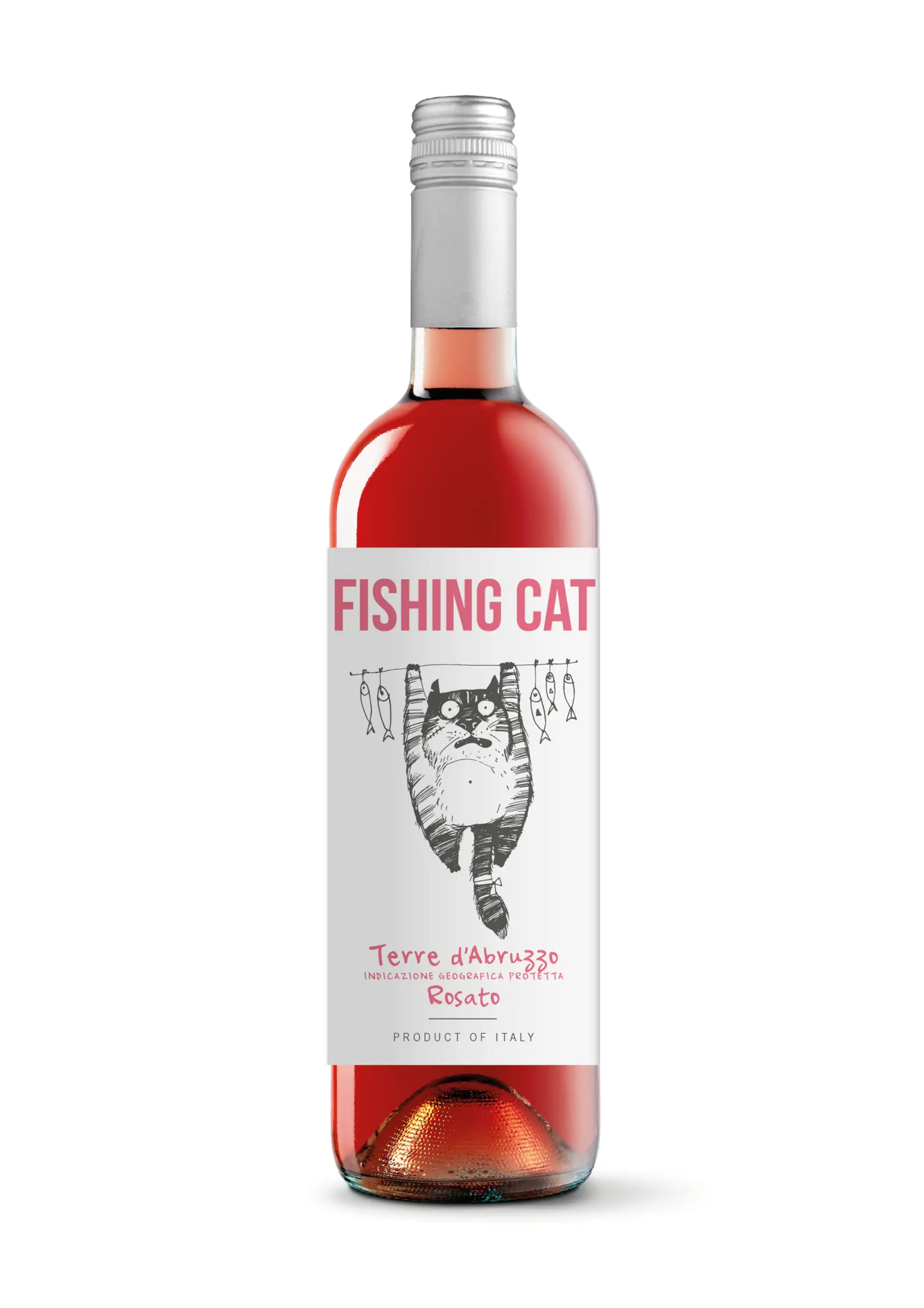 Fishing Cat Rose price in Mangalore