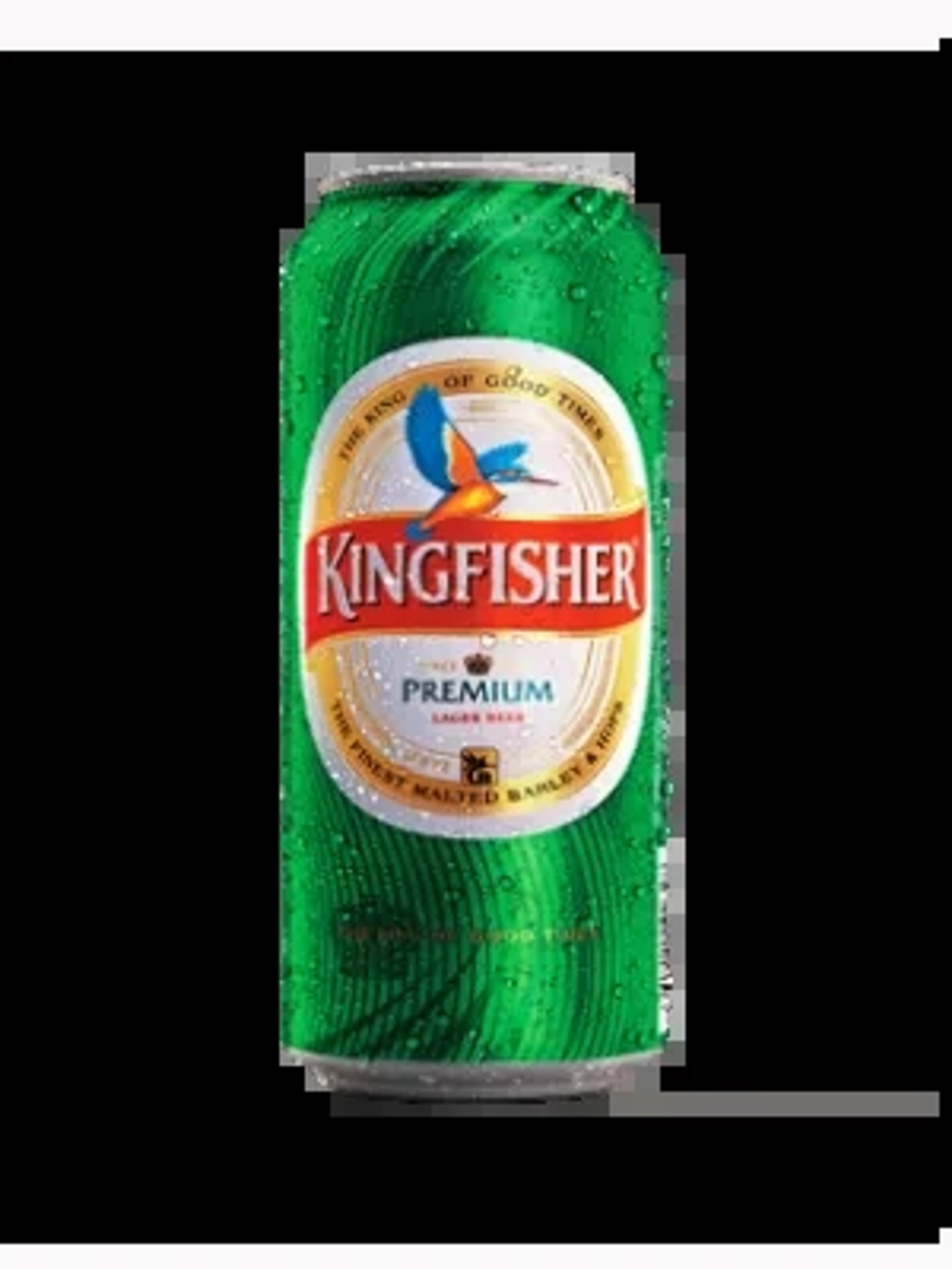 Kingfisher Premium Lager Can price in Agra