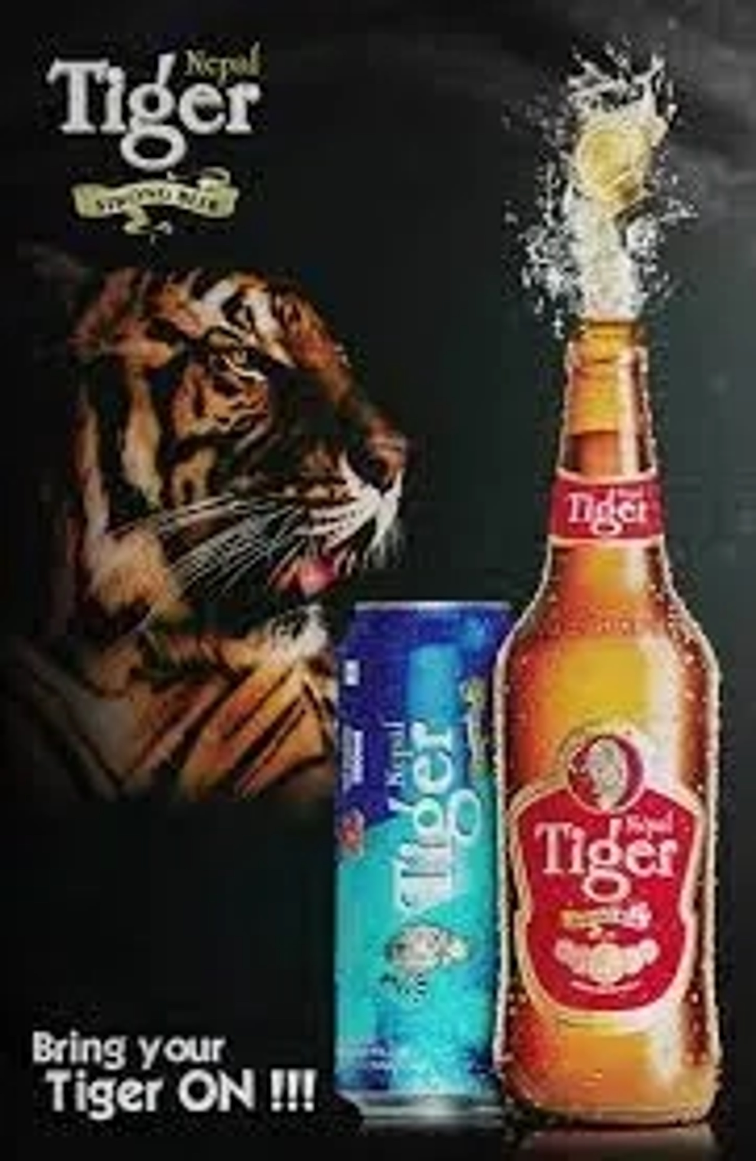 Nepal Tiger Nepal Tiger Deluxe Beer price in Lucknow