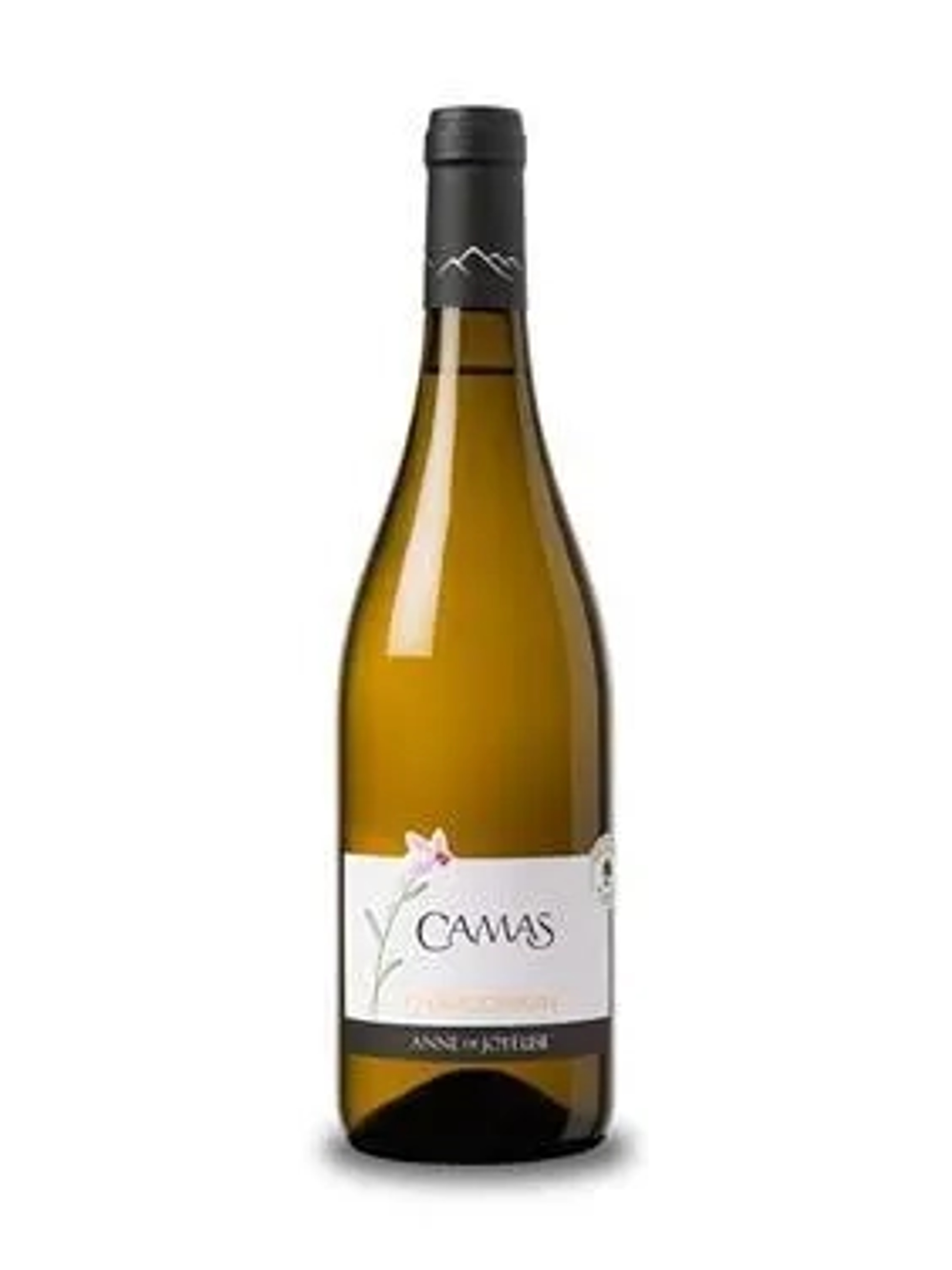 Camas Chardonnay price in Agra