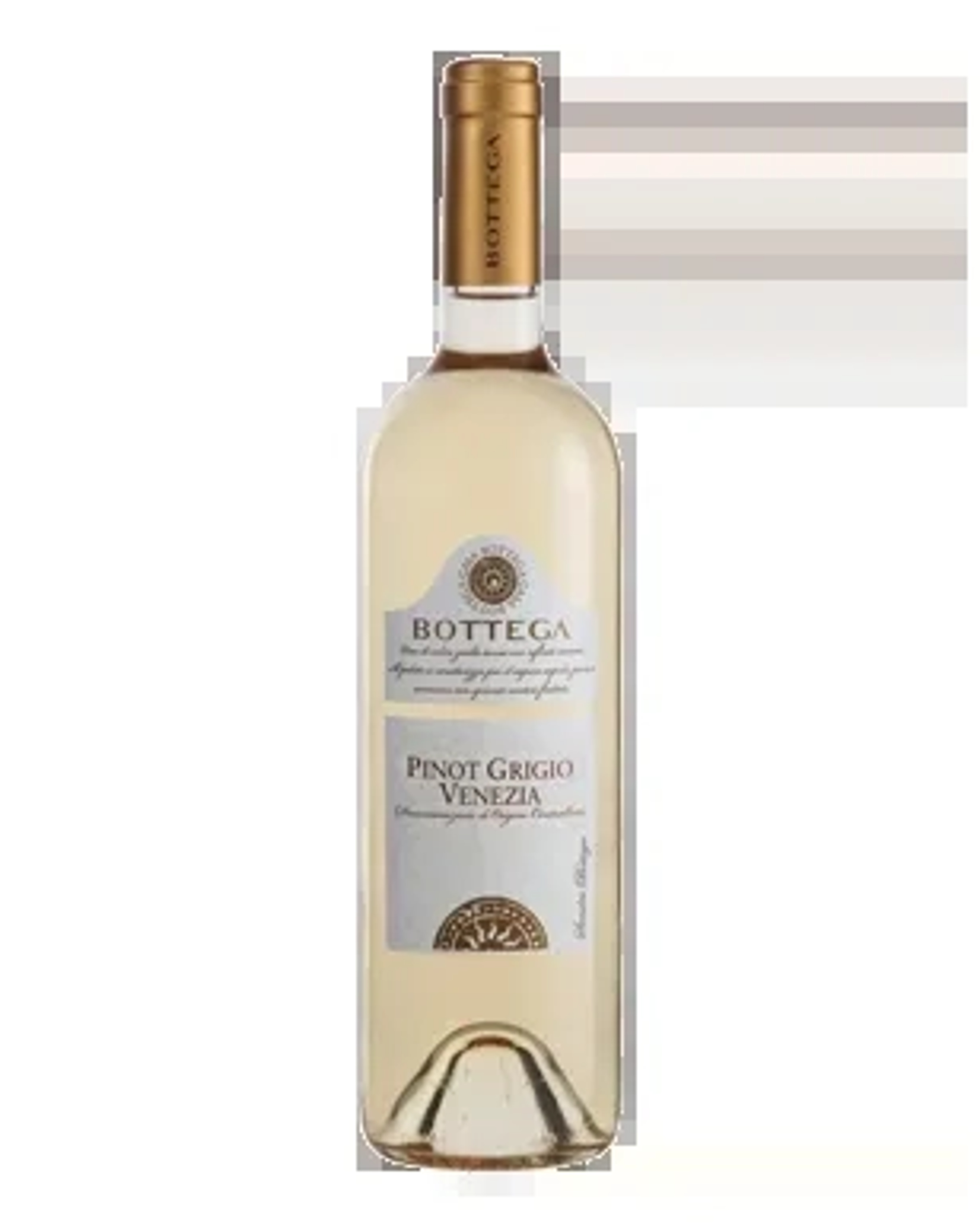 Bottega Pinot Grigio Delle Venezie price in Indore