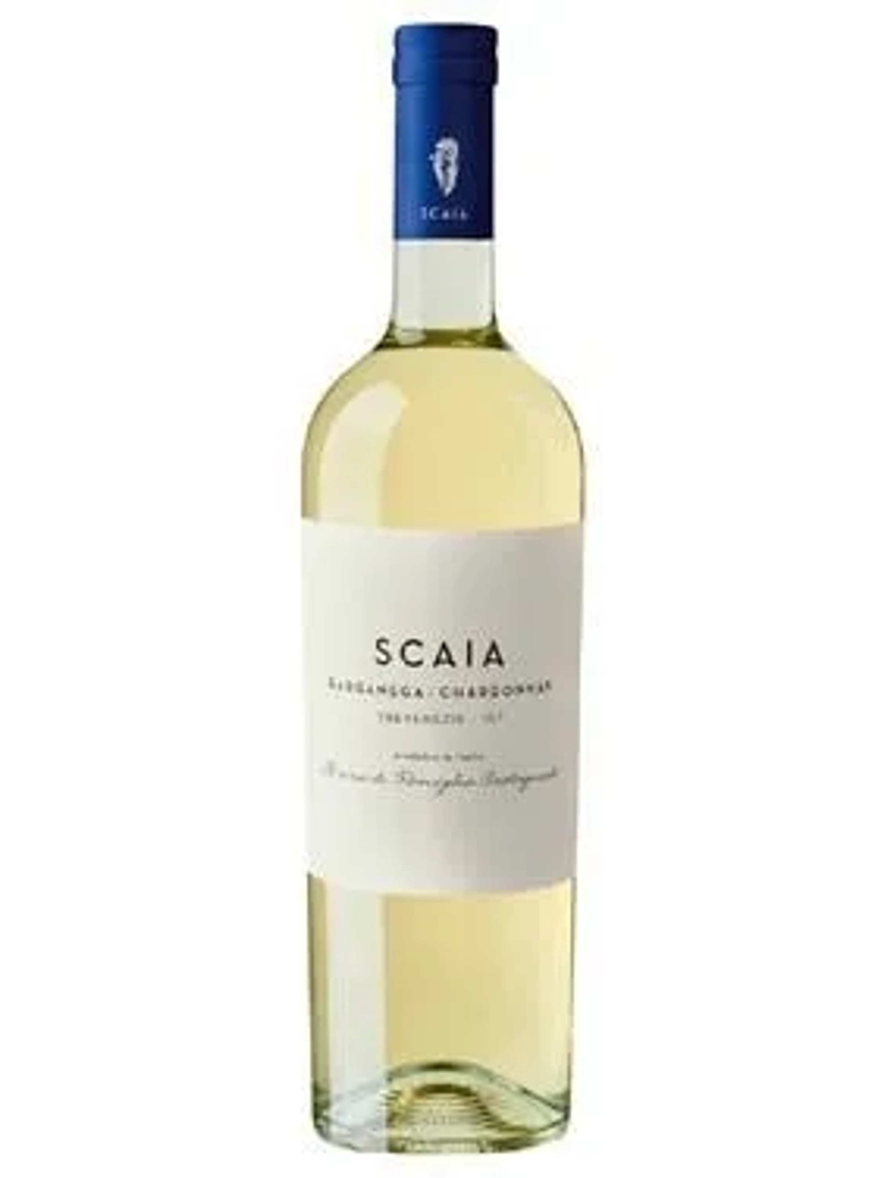 Scaia Tre Venezie Garganega Chardonnay price in Agra