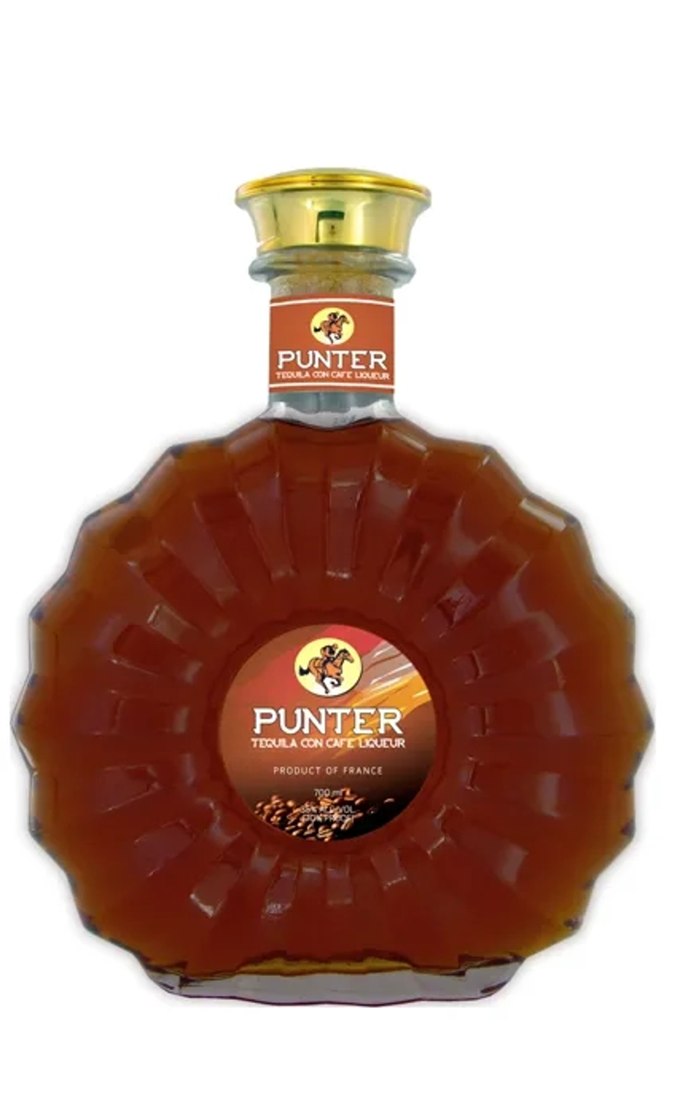 Punter Cafe 700ml price in Asansol