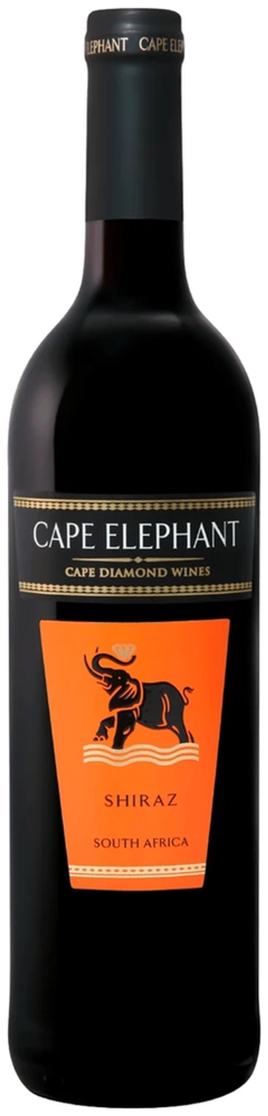 Cape Shiraz price in Udaipur