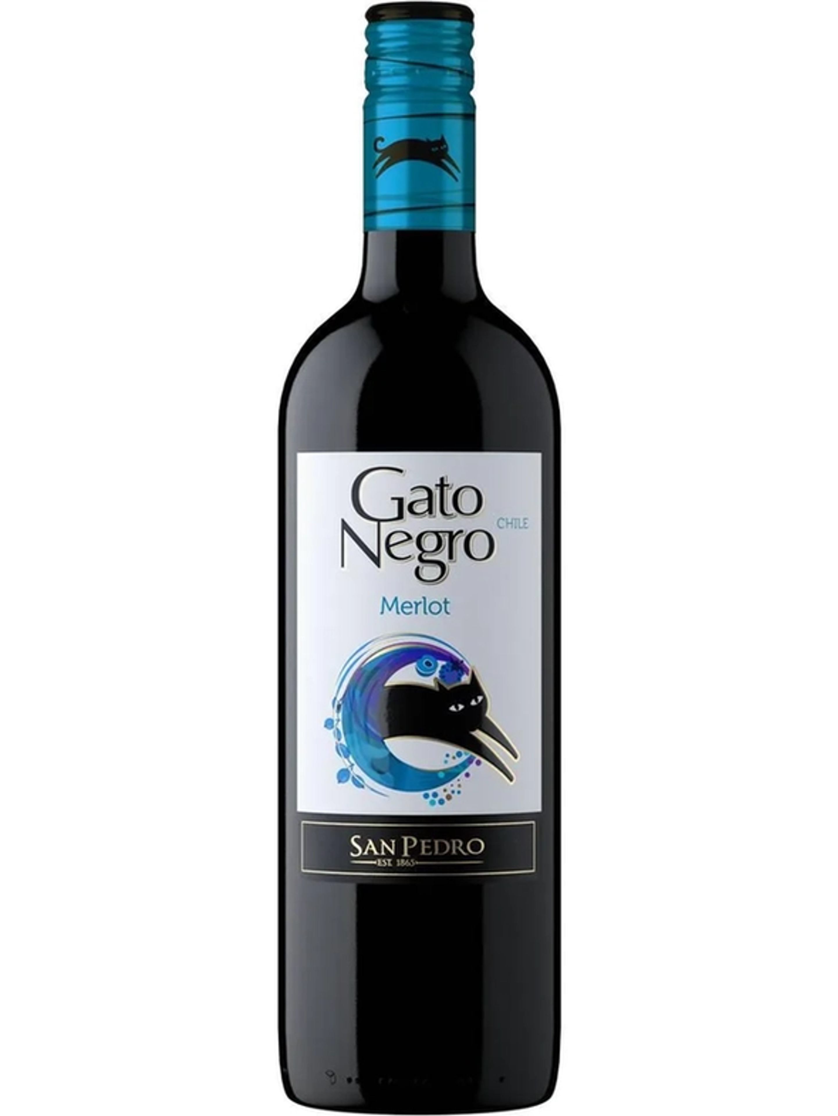 Gato Negro Merlot price in Lucknow