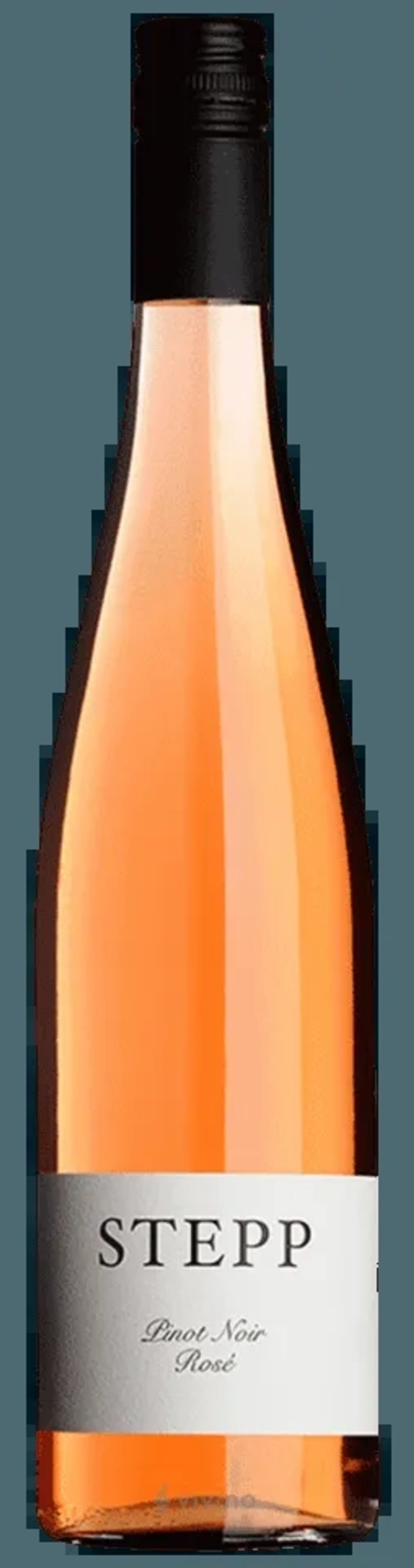 Stepp Pint Noir Rose price in Gwalior