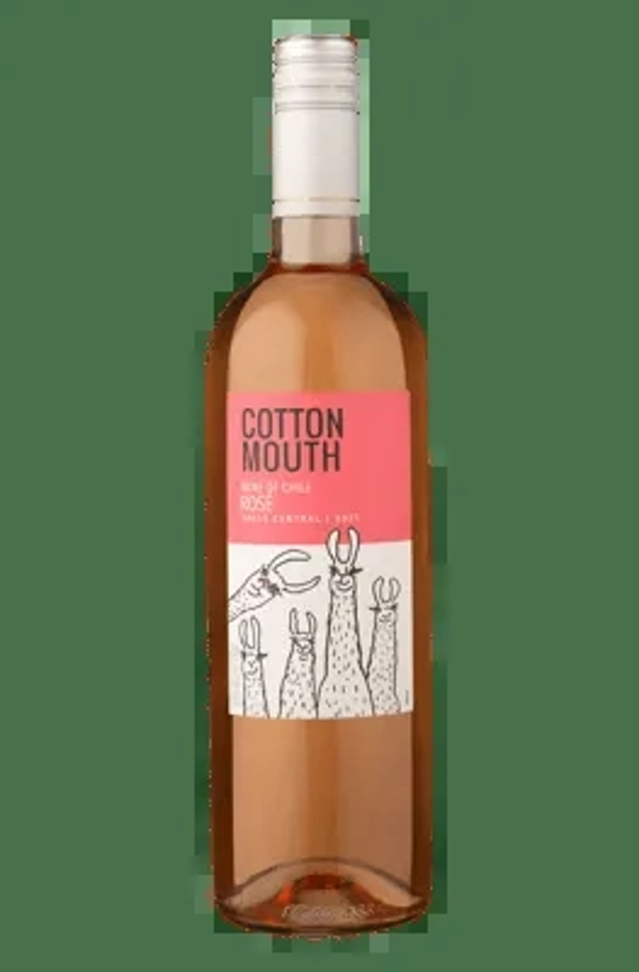 Cotton Mouth Rose 750ml price in Noida