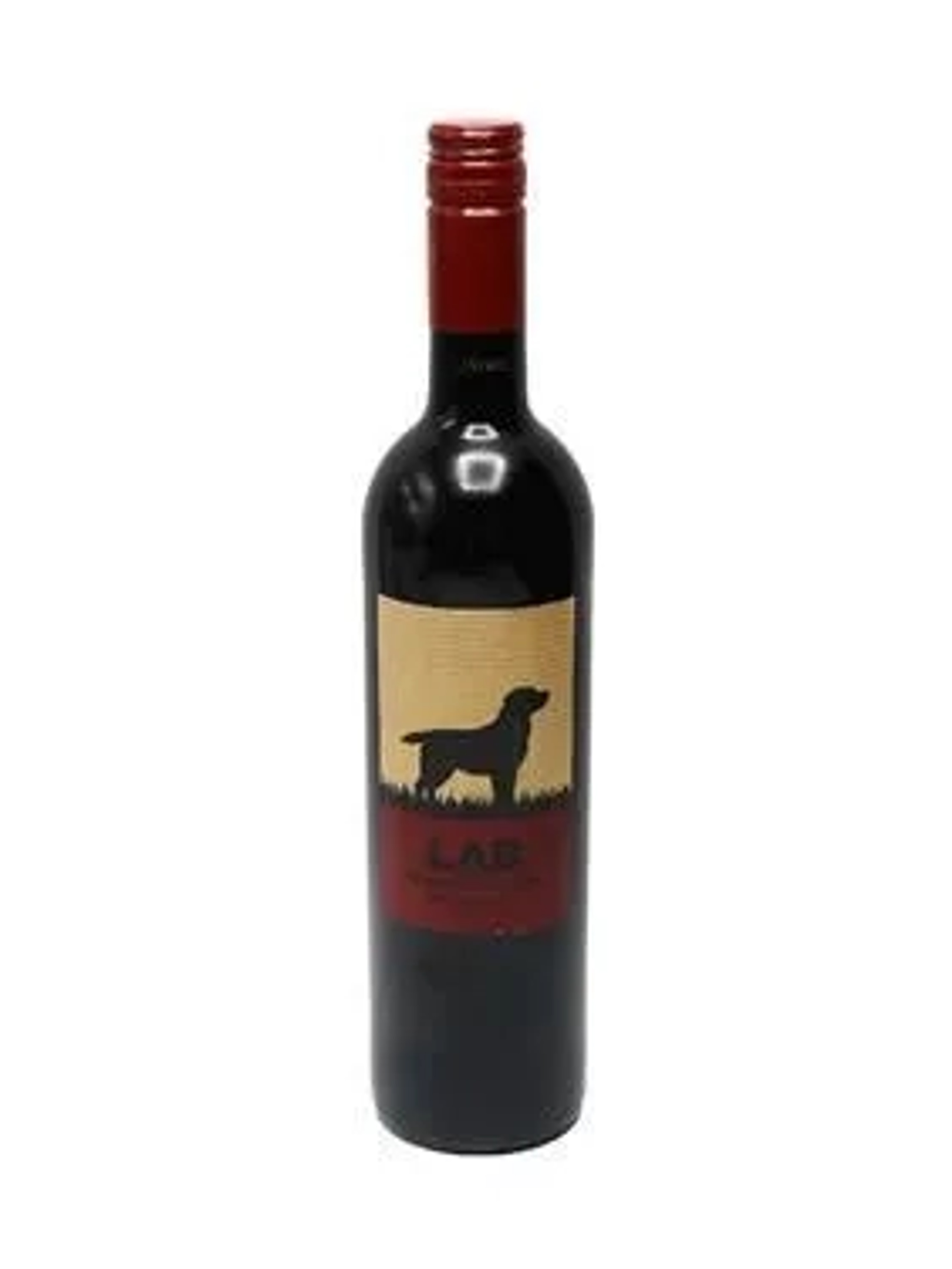 Lab Vinho prices in Nashik