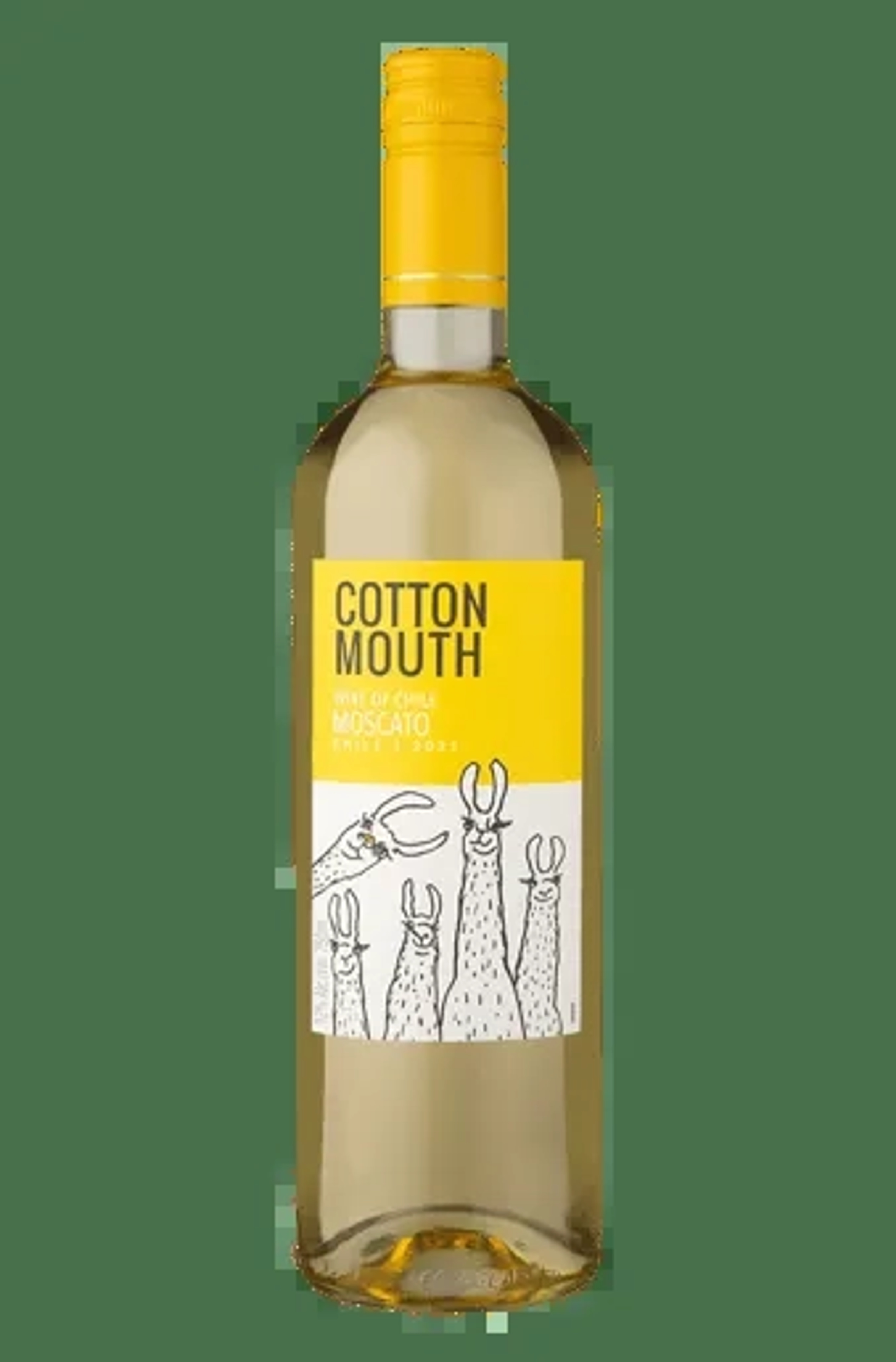 Cotton Mouth Sauv Blanc 750ml price in Kota