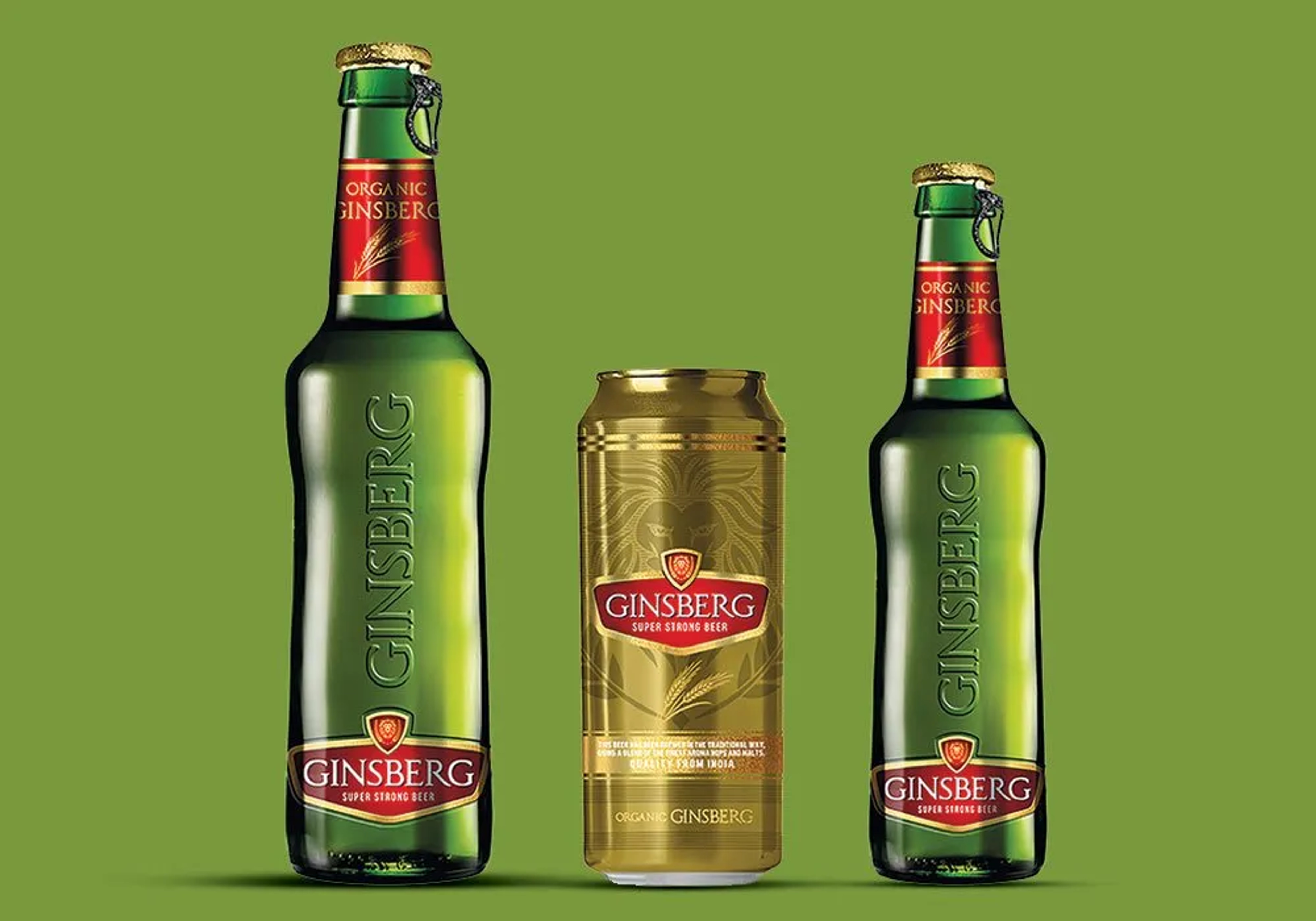 Ginsberg Classic Strong Beer price in Jodhpur
