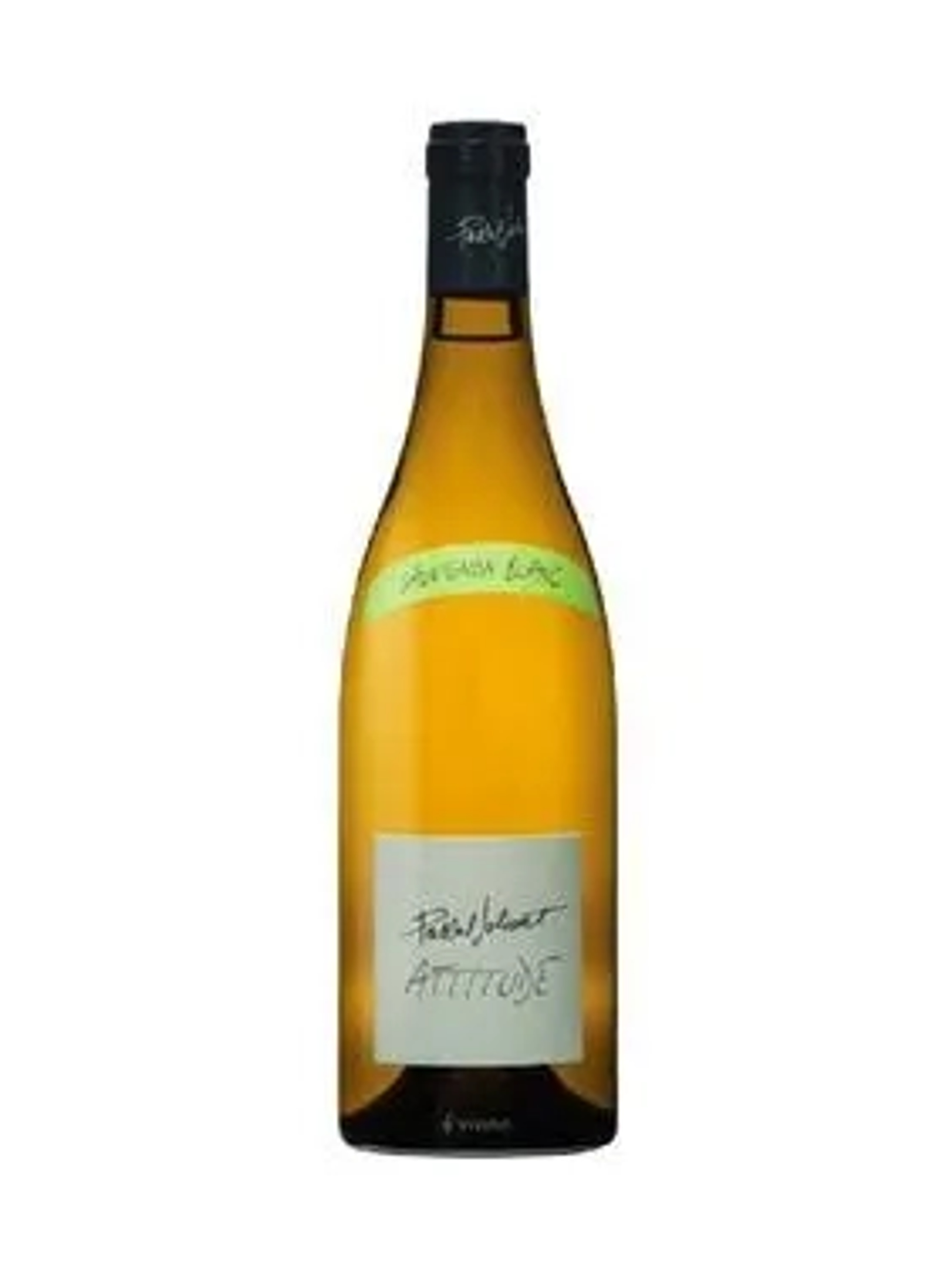 Attitude Sauvignon Blanc price in Jodhpur