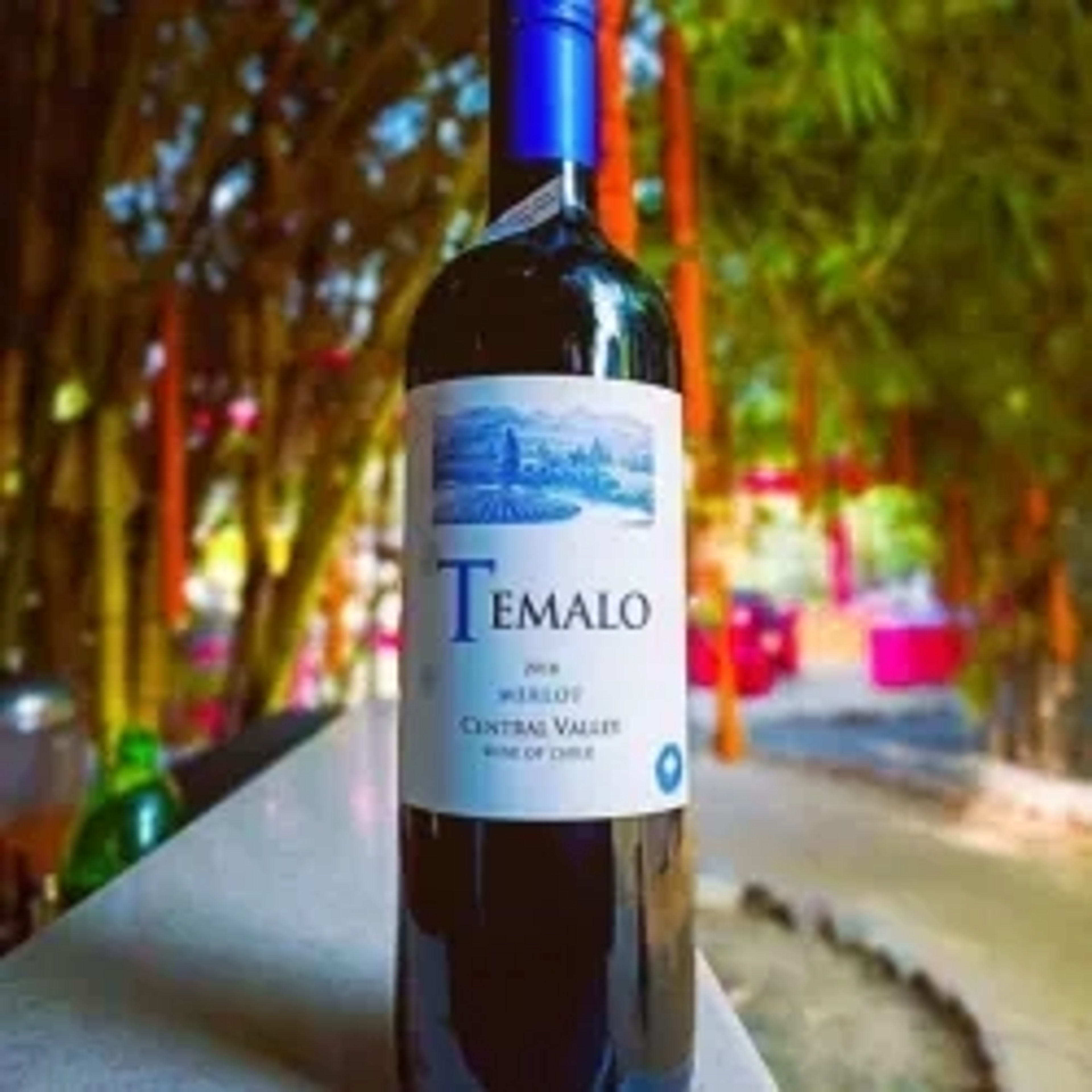 Temalo Merlot 750ml price in Pune